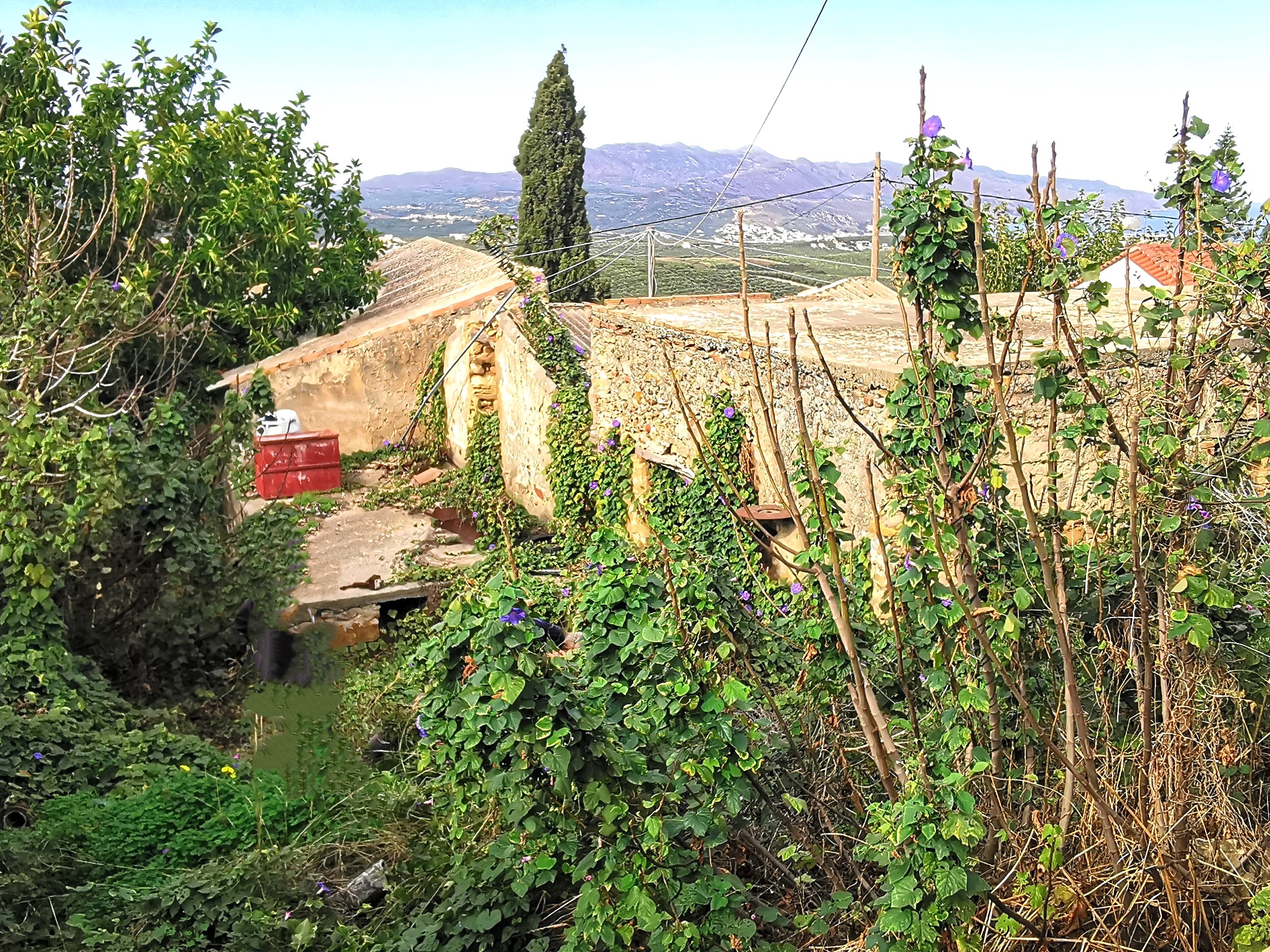 Bagordakis and Partners