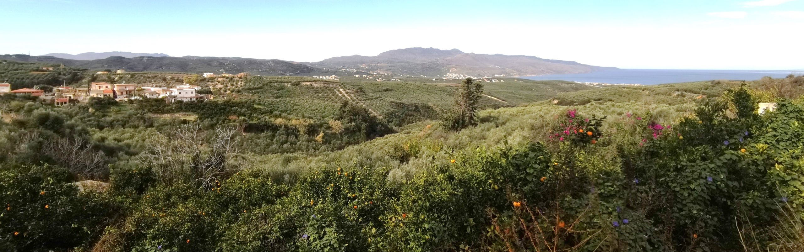 Bagordakis and Partners