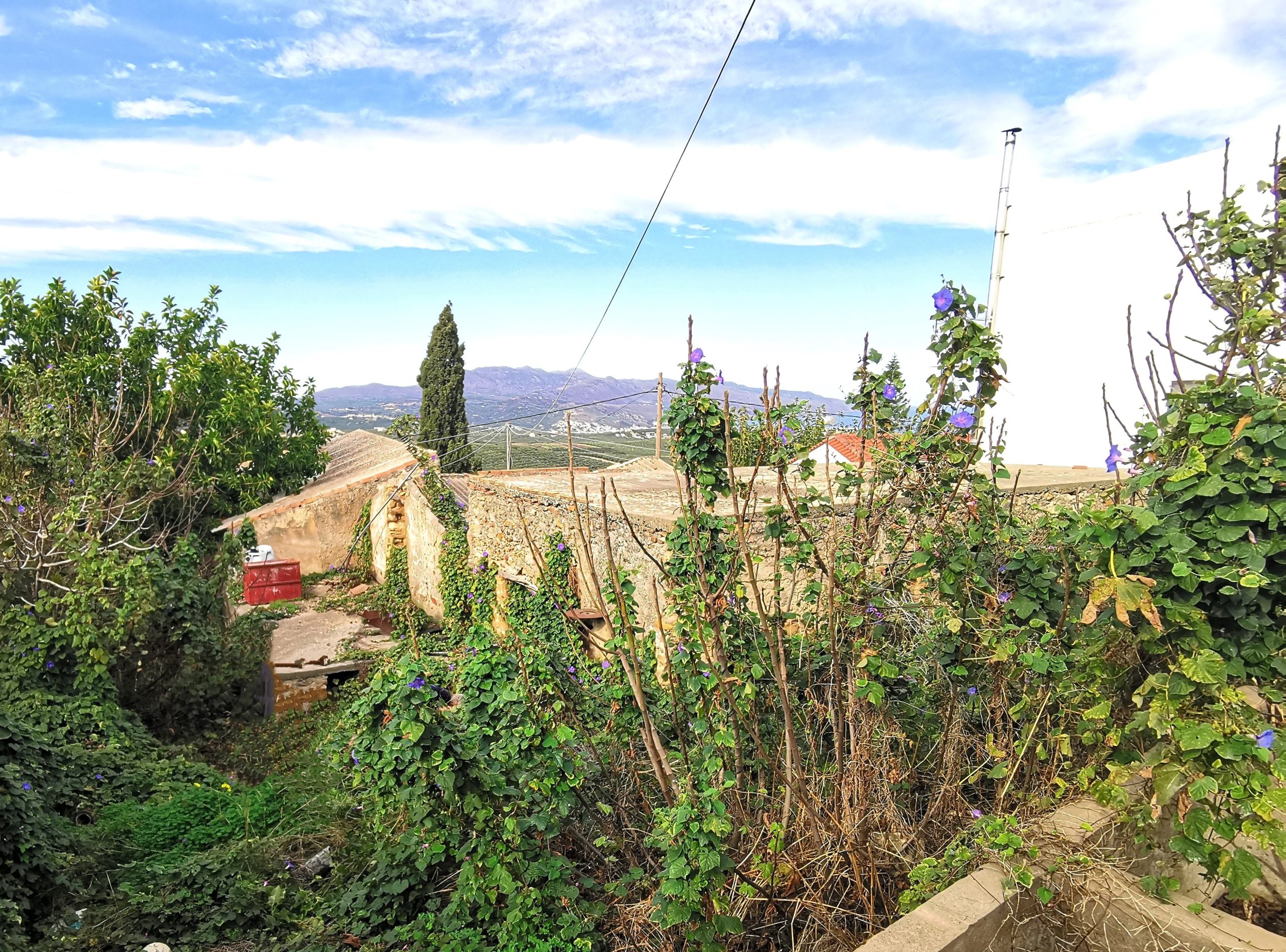 Bagordakis and Partners