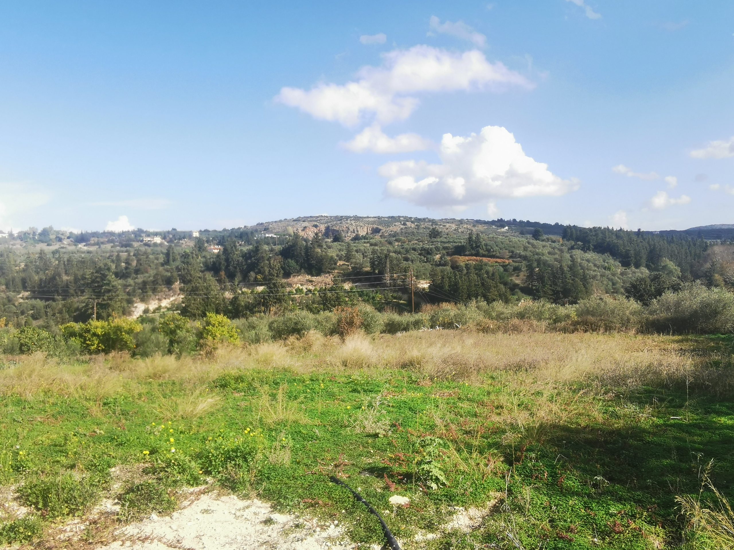 Bagordakis and Partners