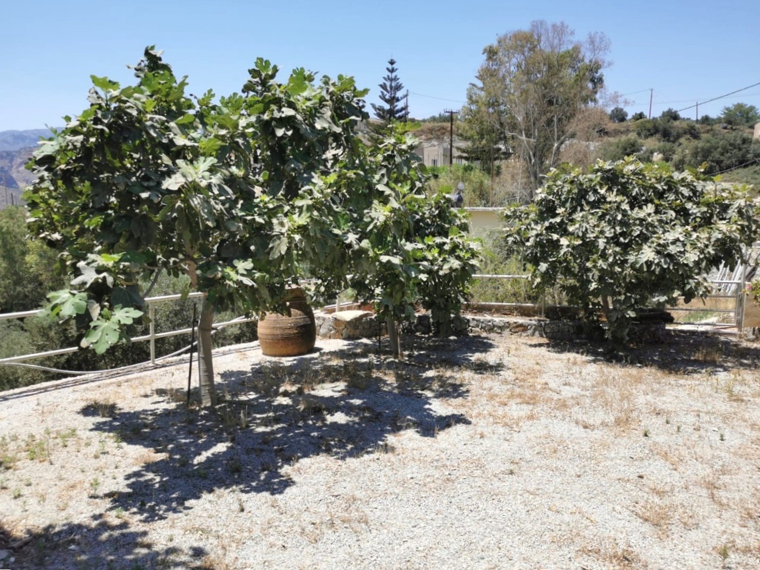 Bagordakis and Partners