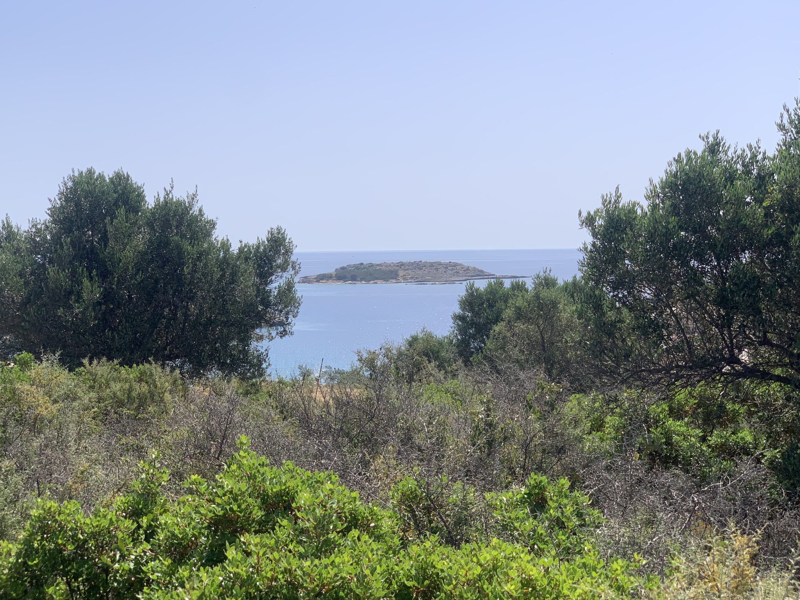 Bagordakis and Partners