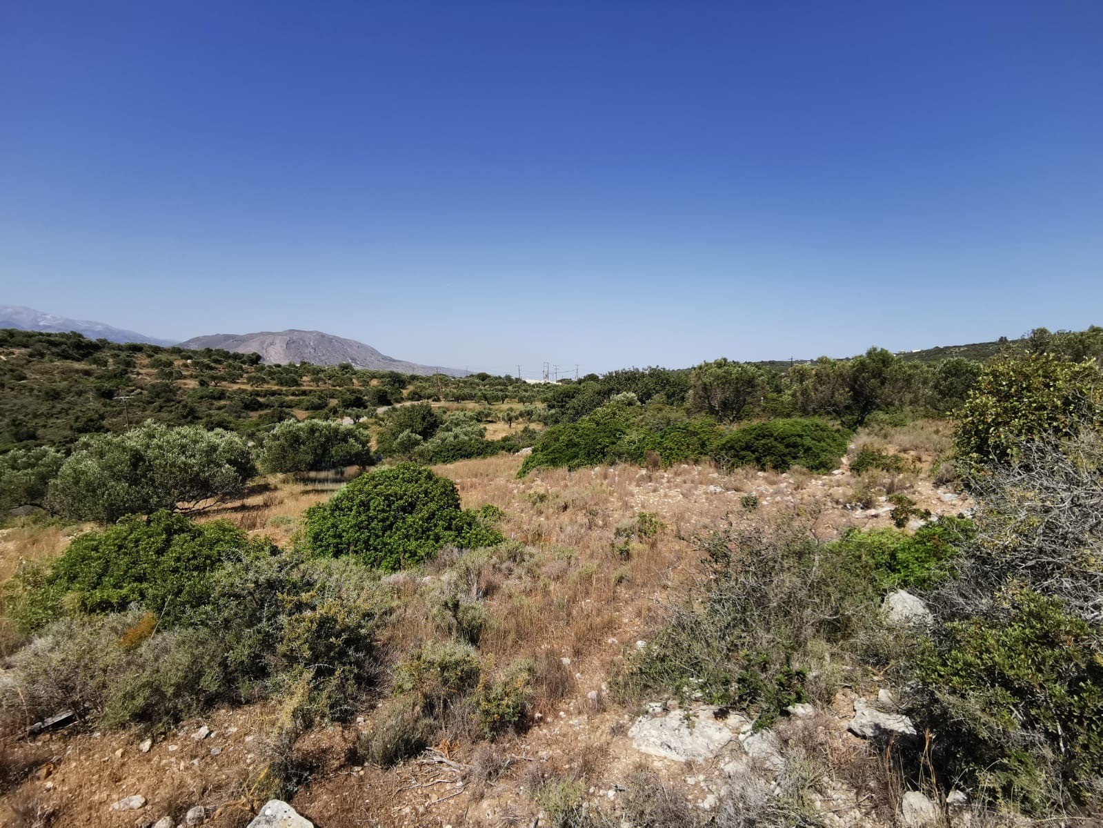 Bagordakis and Partners