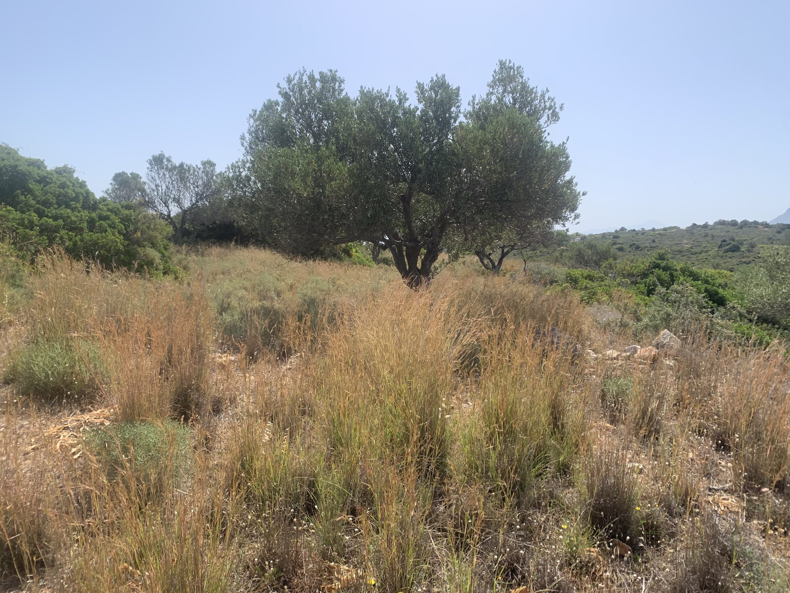 Bagordakis and Partners