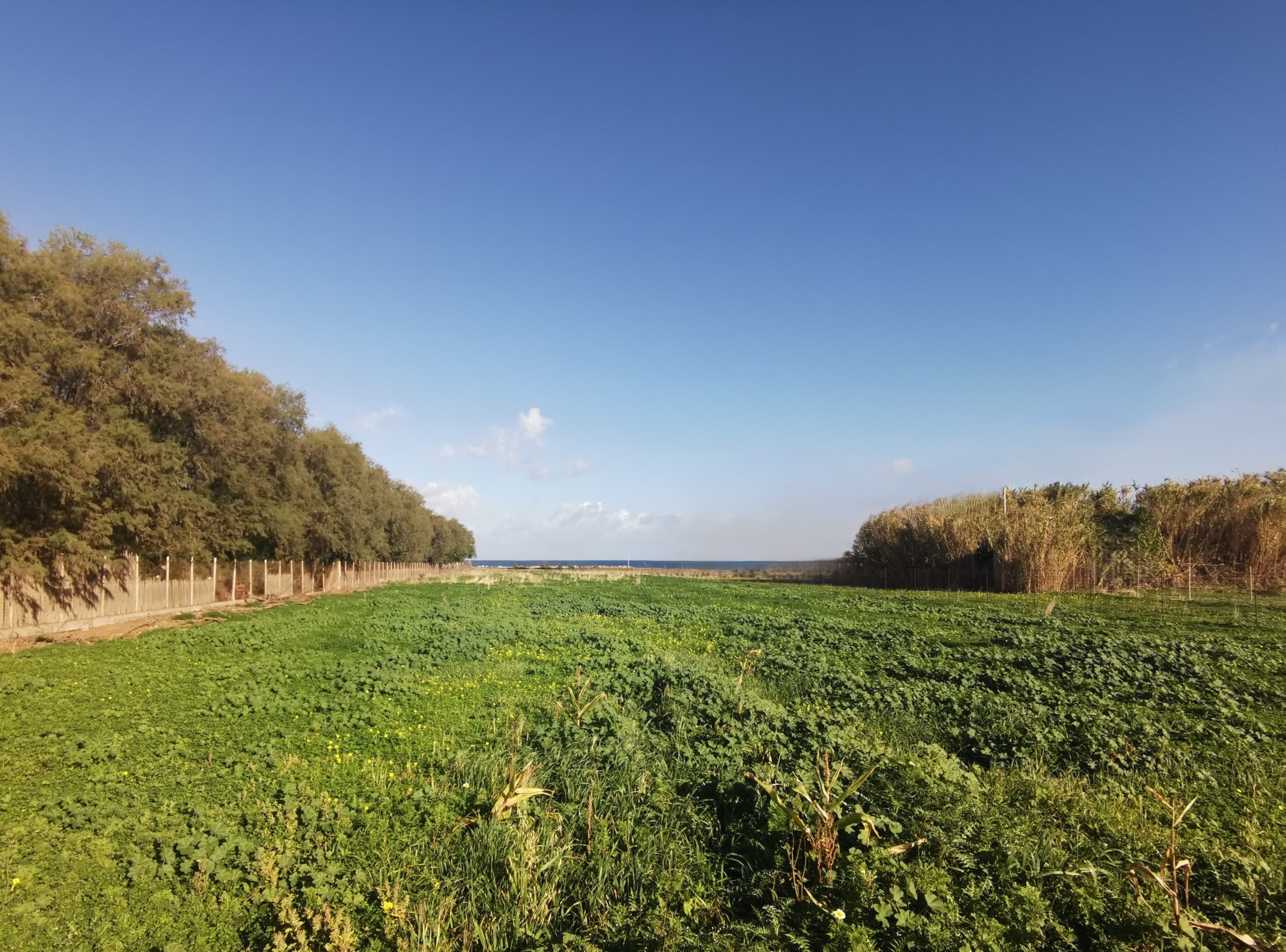 Bagordakis and Partners