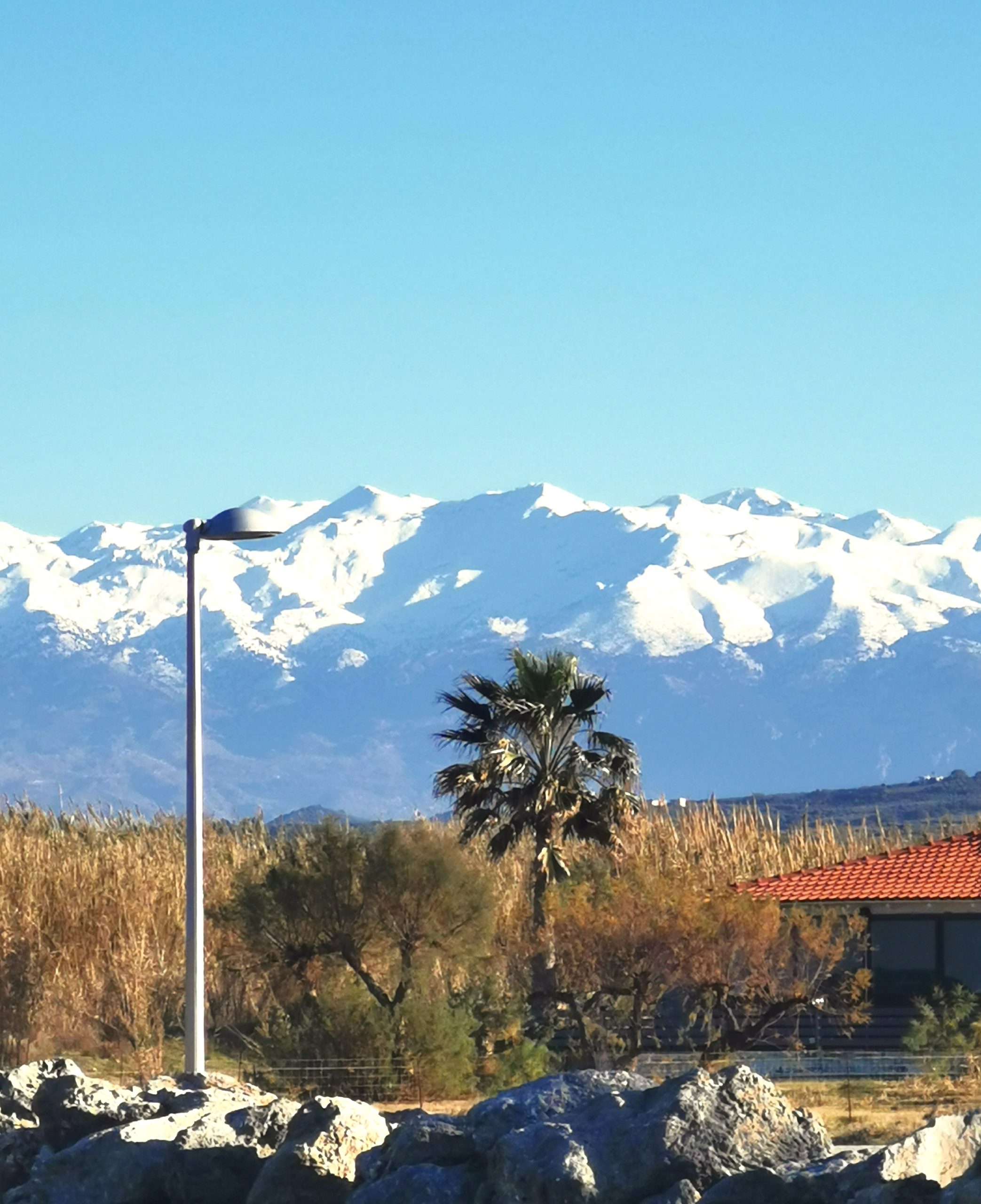 Bagordakis and Partners