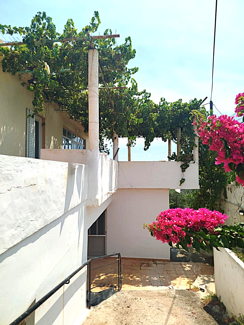 Bagordakis and Partners