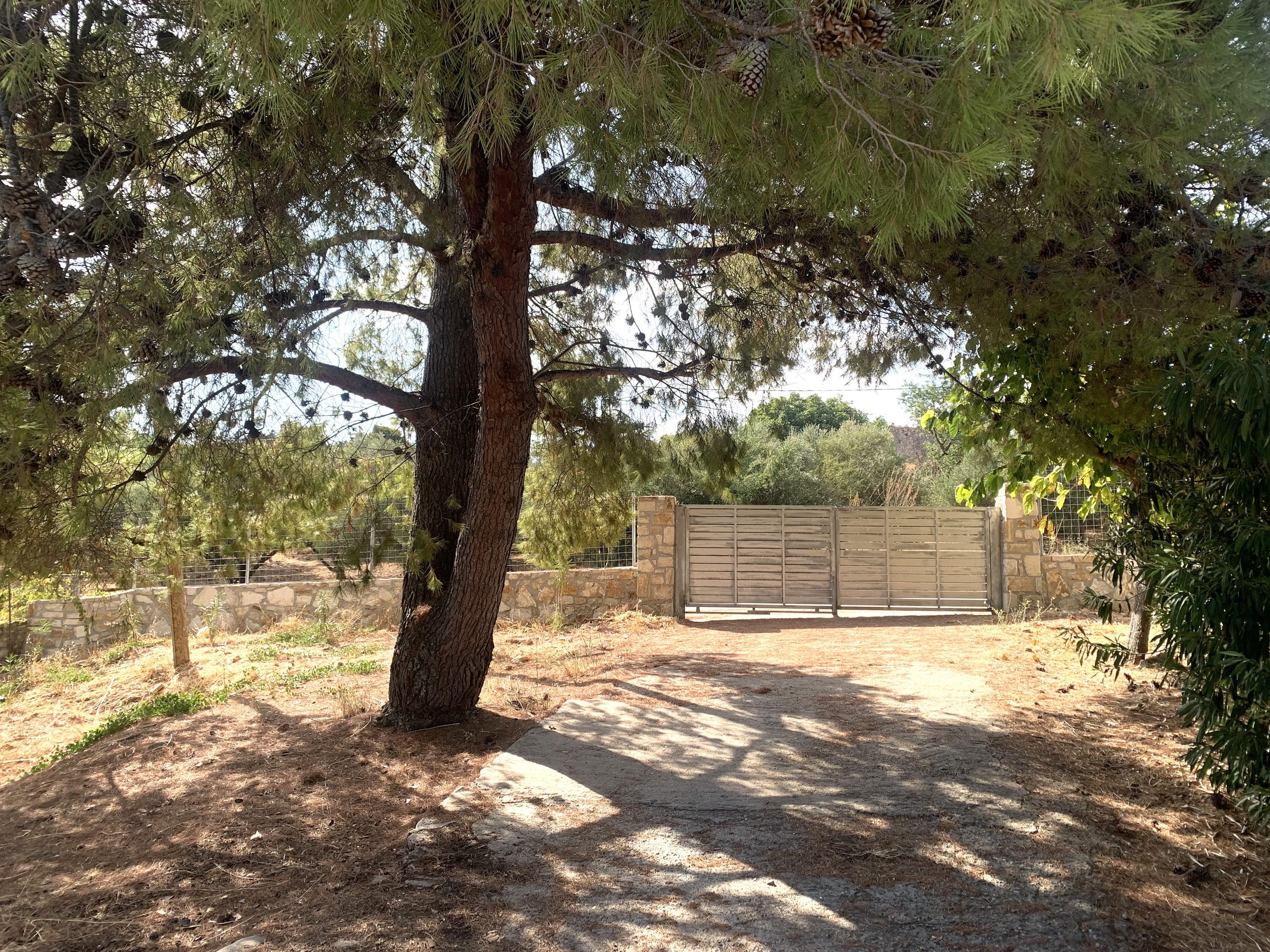 Bagordakis and Partners