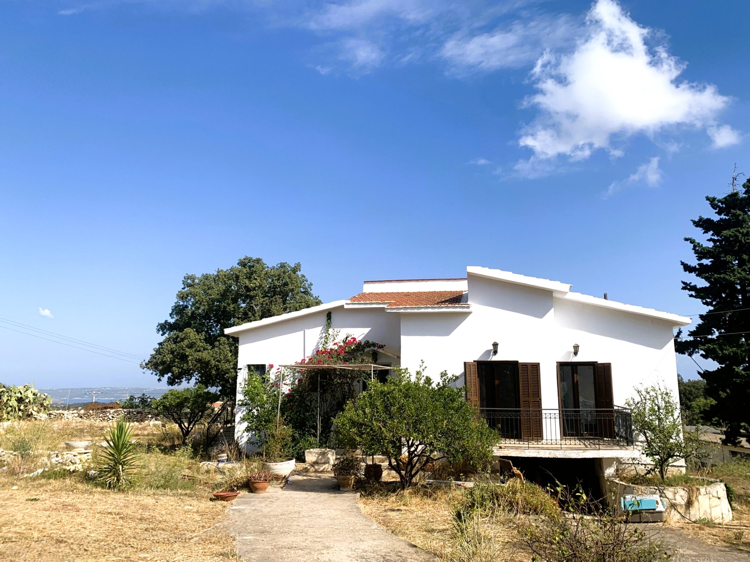 Bagordakis and Partners