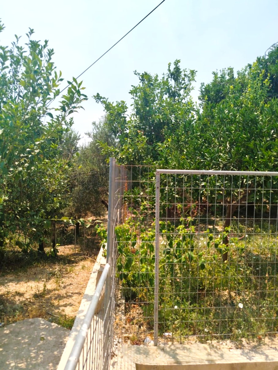 Bagordakis and Partners