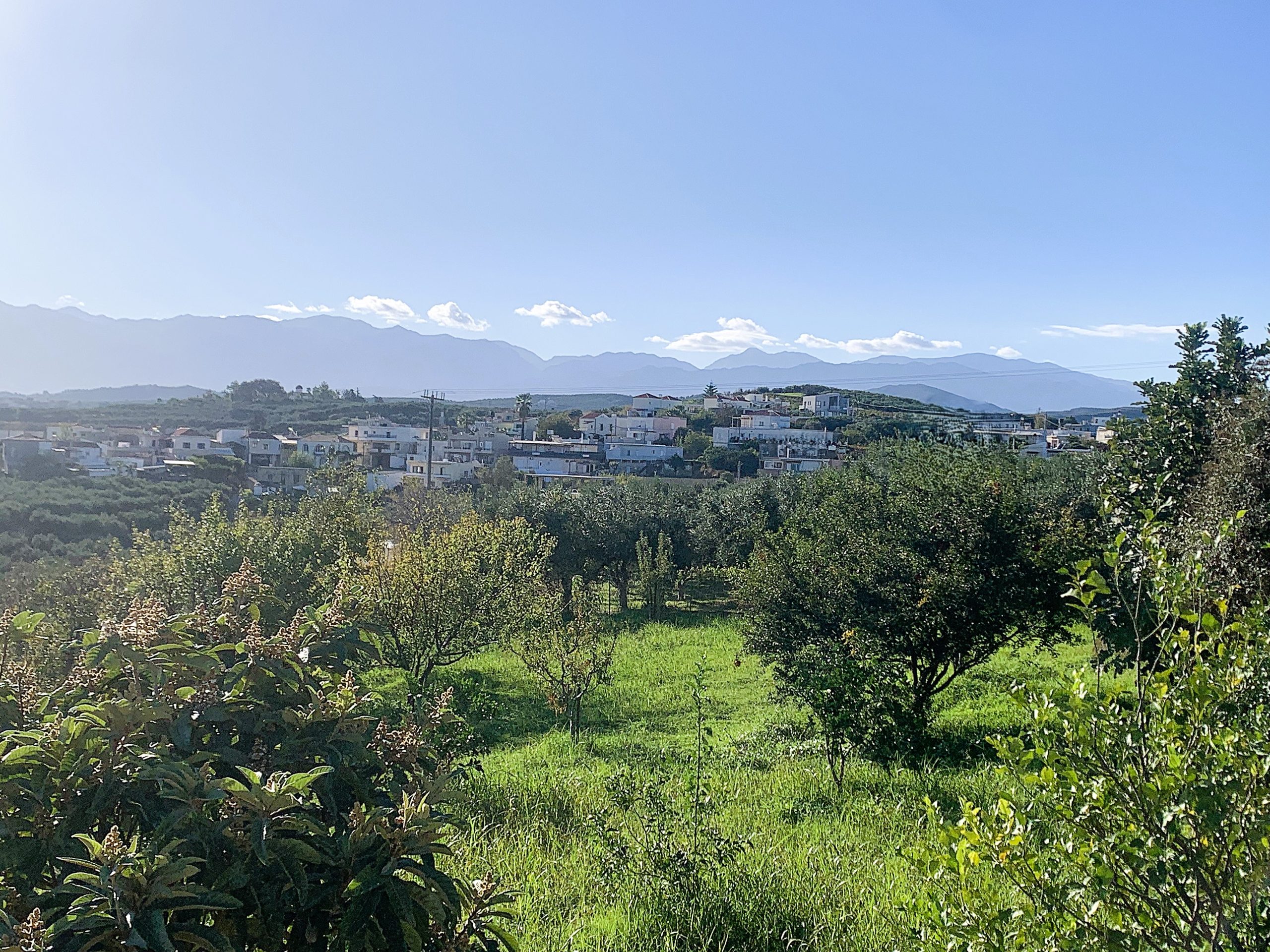 Bagordakis and Partners