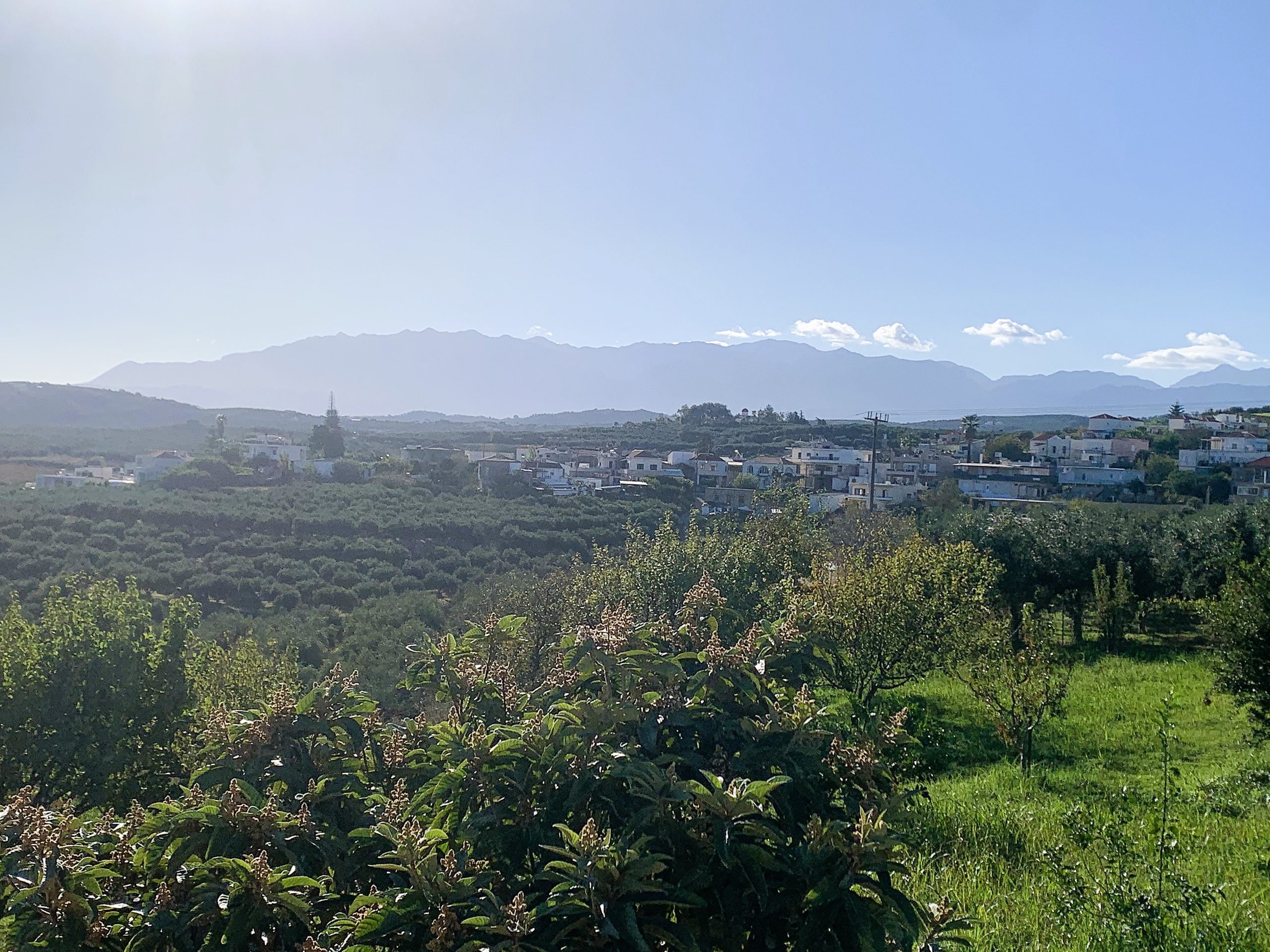 Bagordakis and Partners