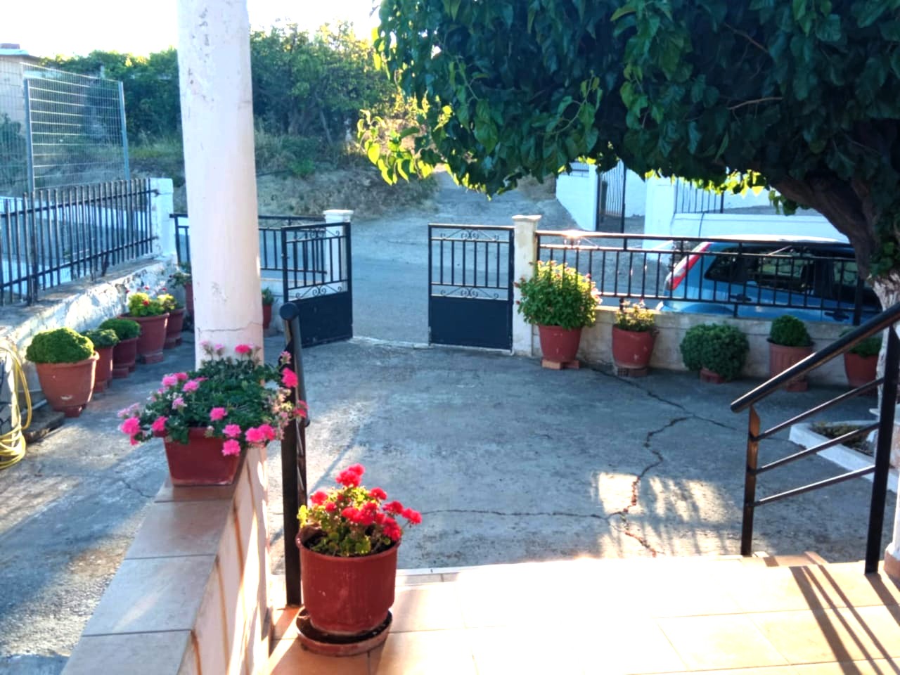 Bagordakis and Partners