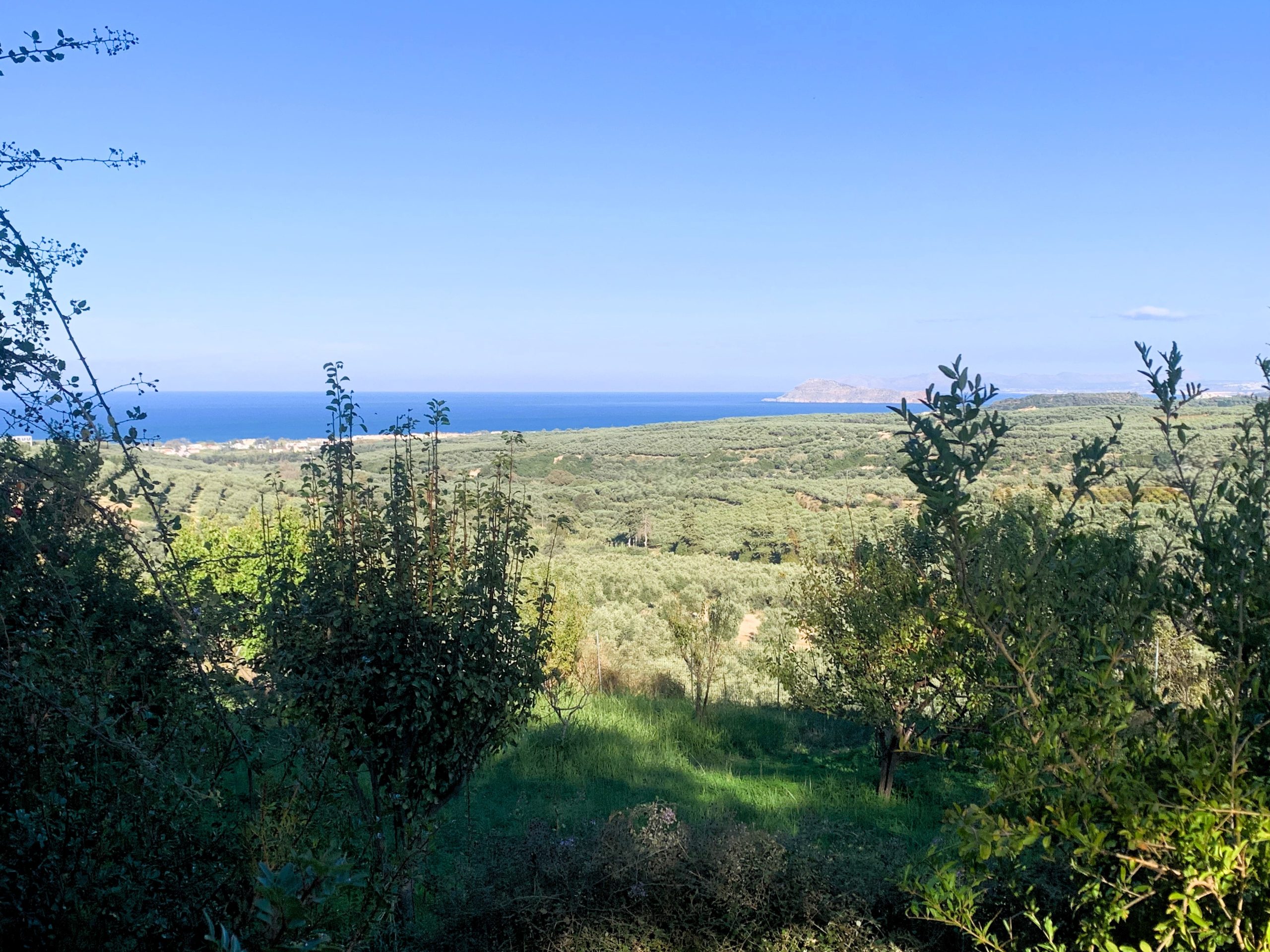 Bagordakis and Partners