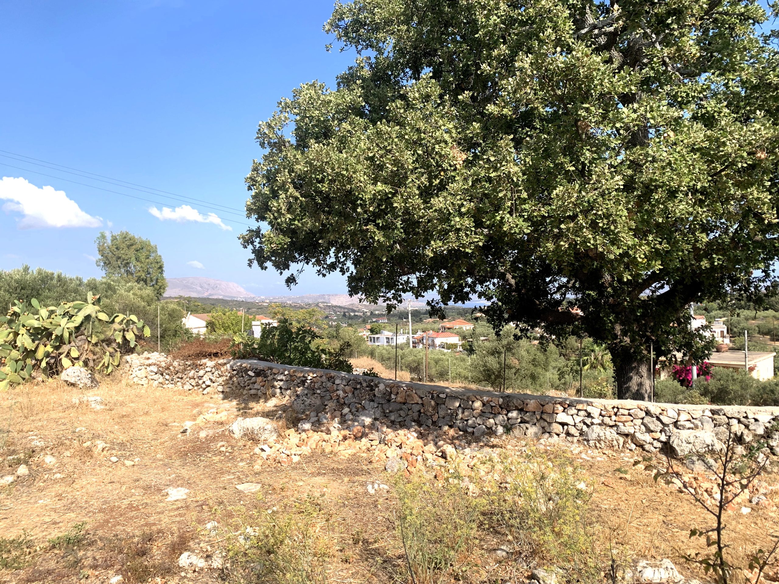 Bagordakis and Partners