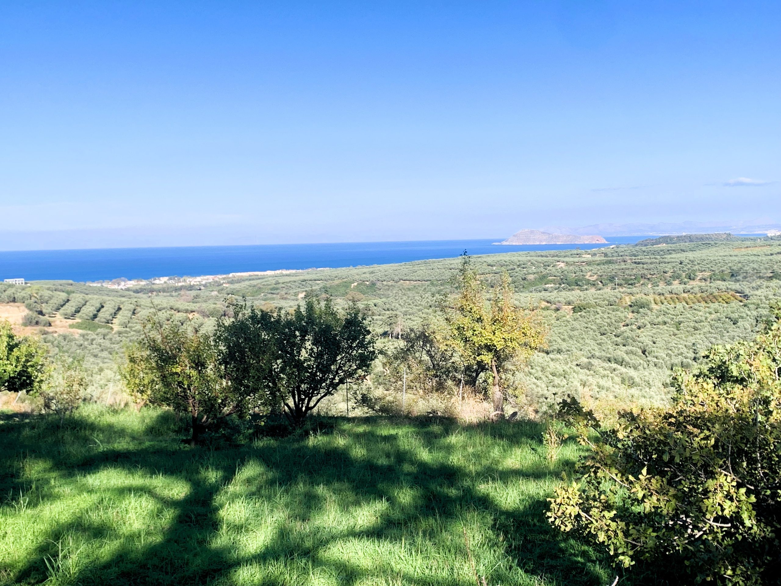 Bagordakis and Partners