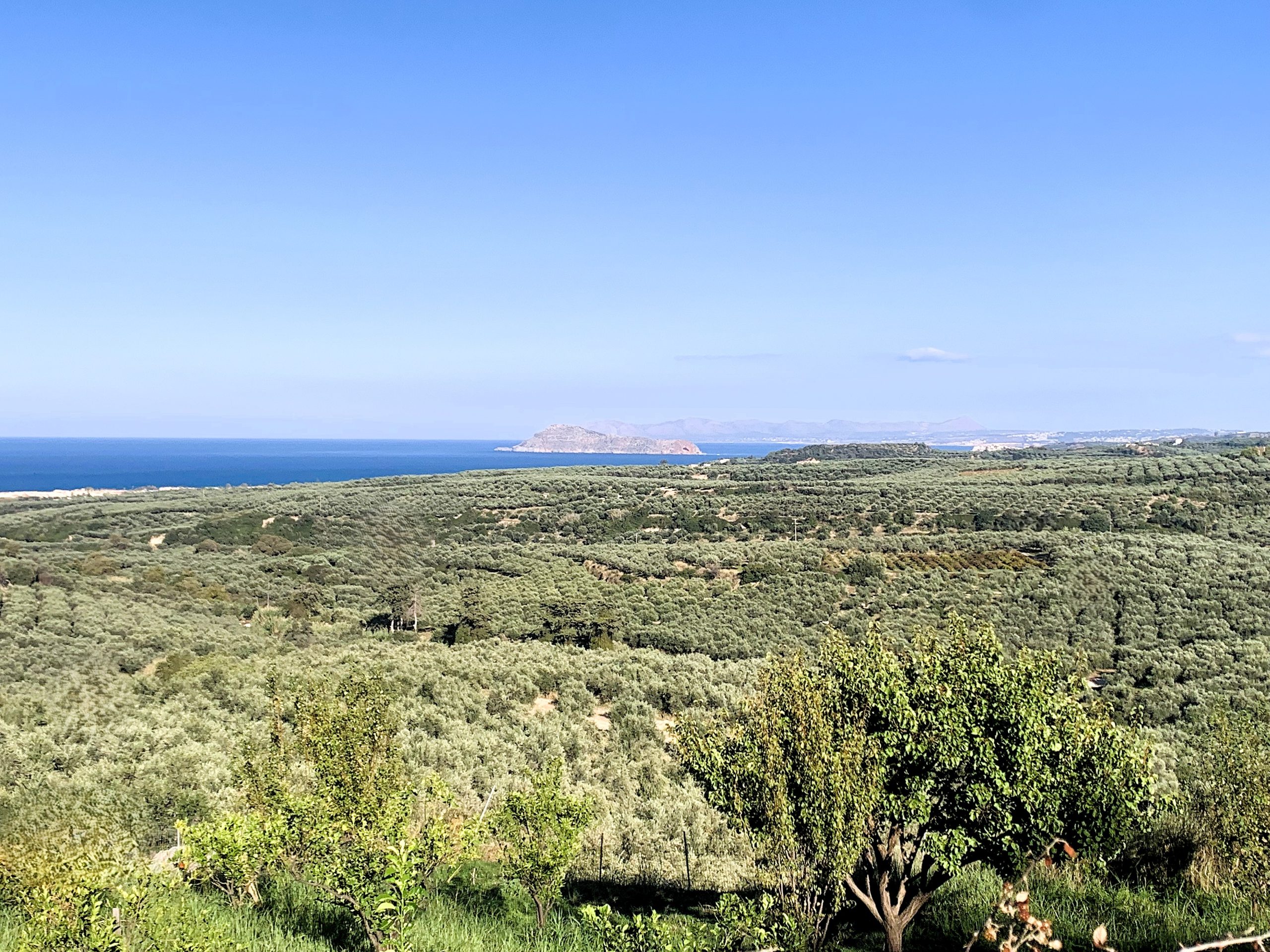 Bagordakis and Partners