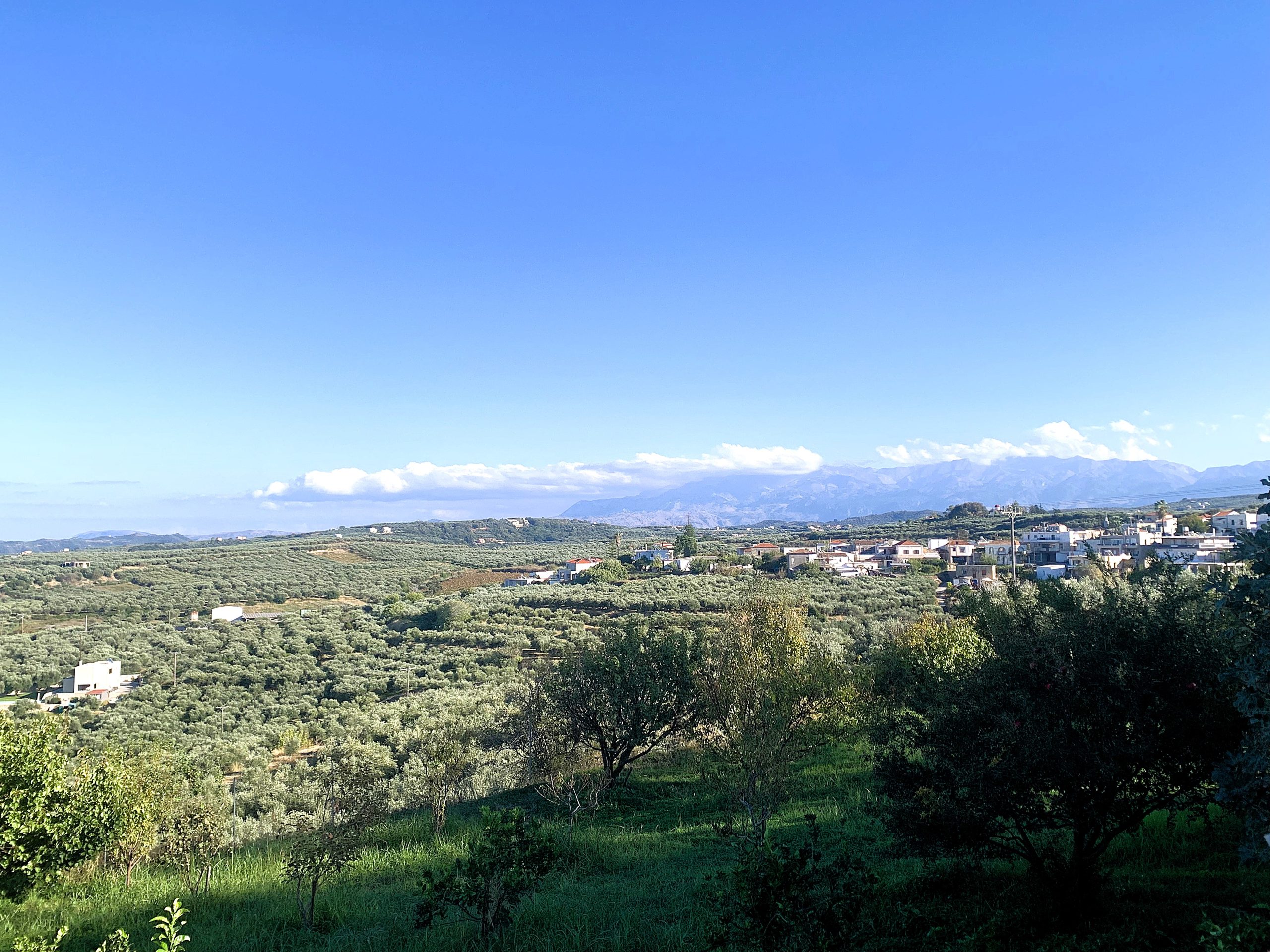 Bagordakis and Partners