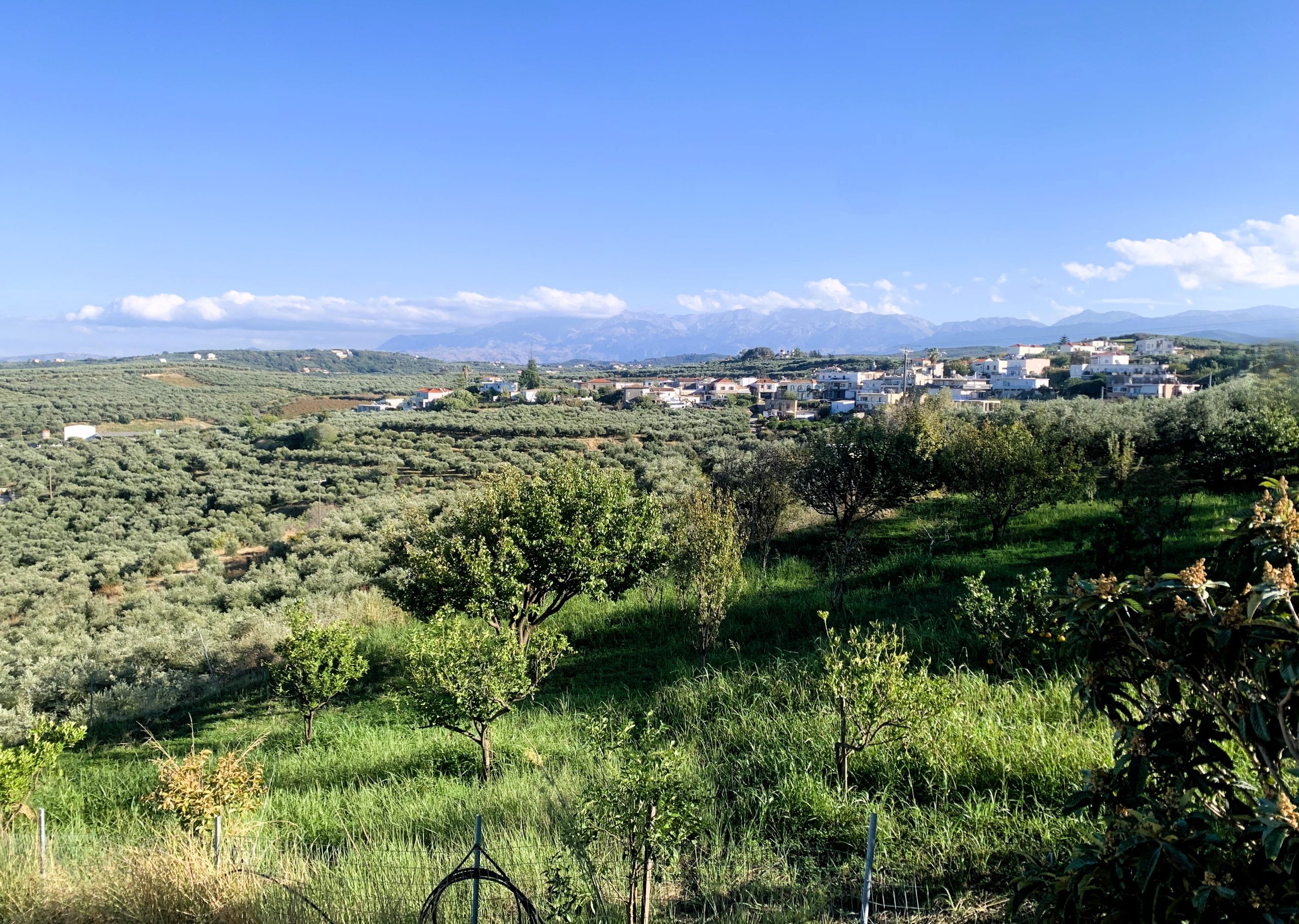 Bagordakis and Partners