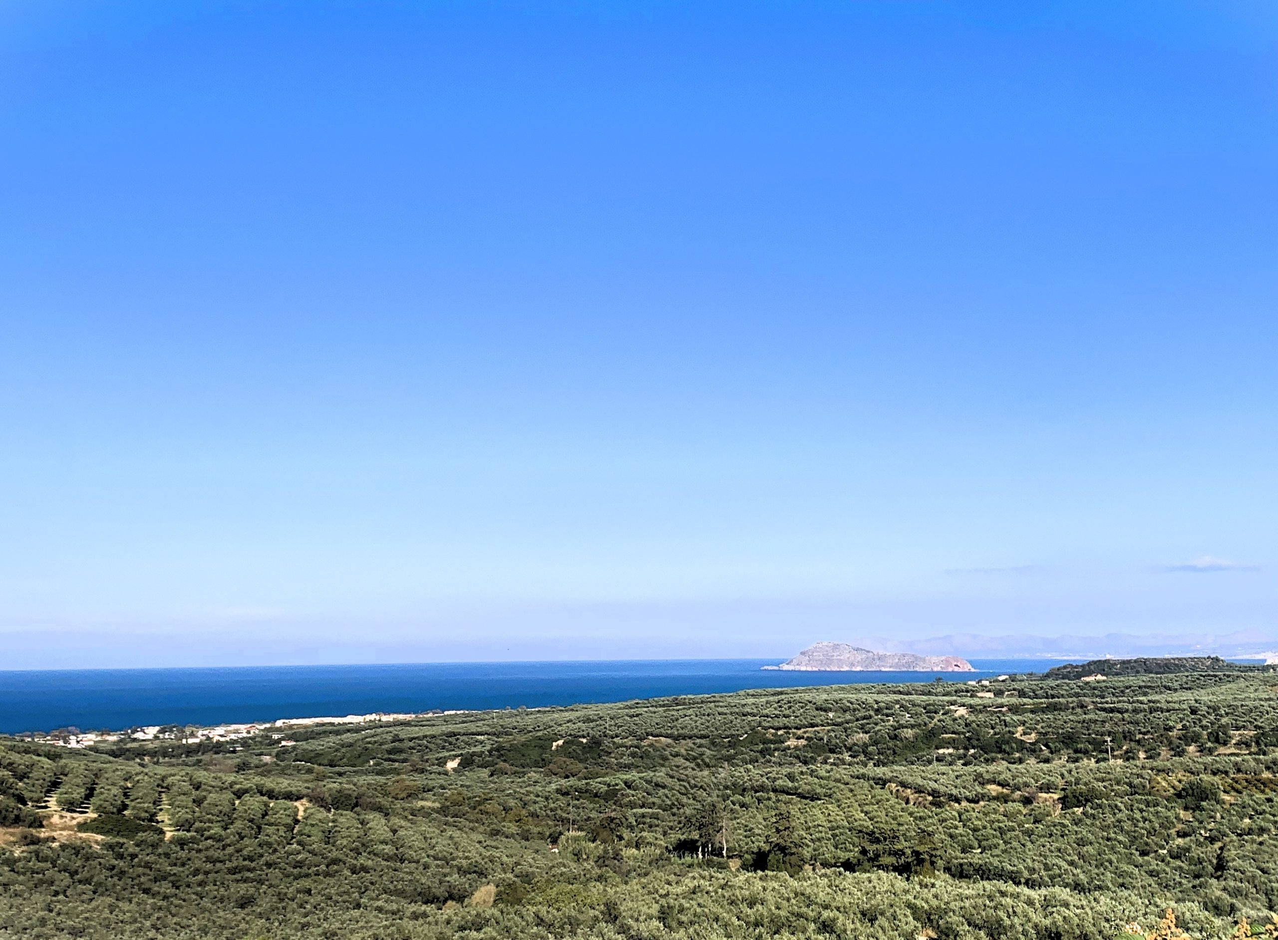 Bagordakis and Partners