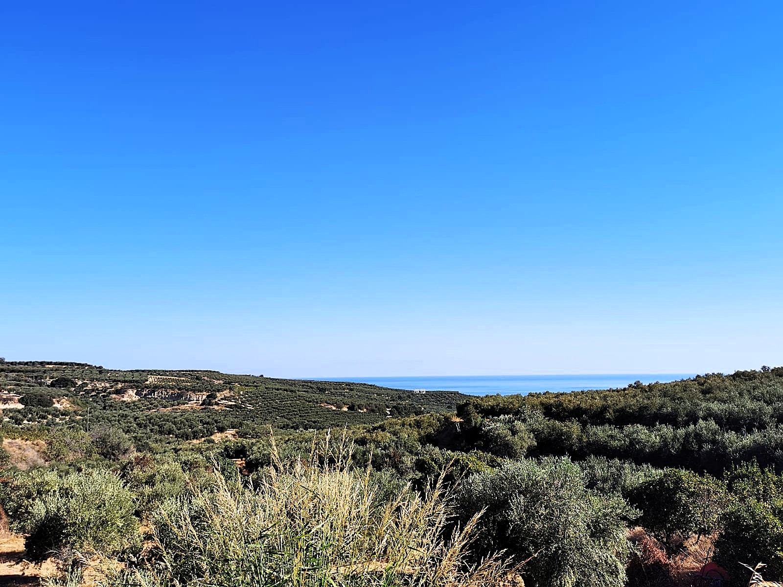 Bagordakis and Partners