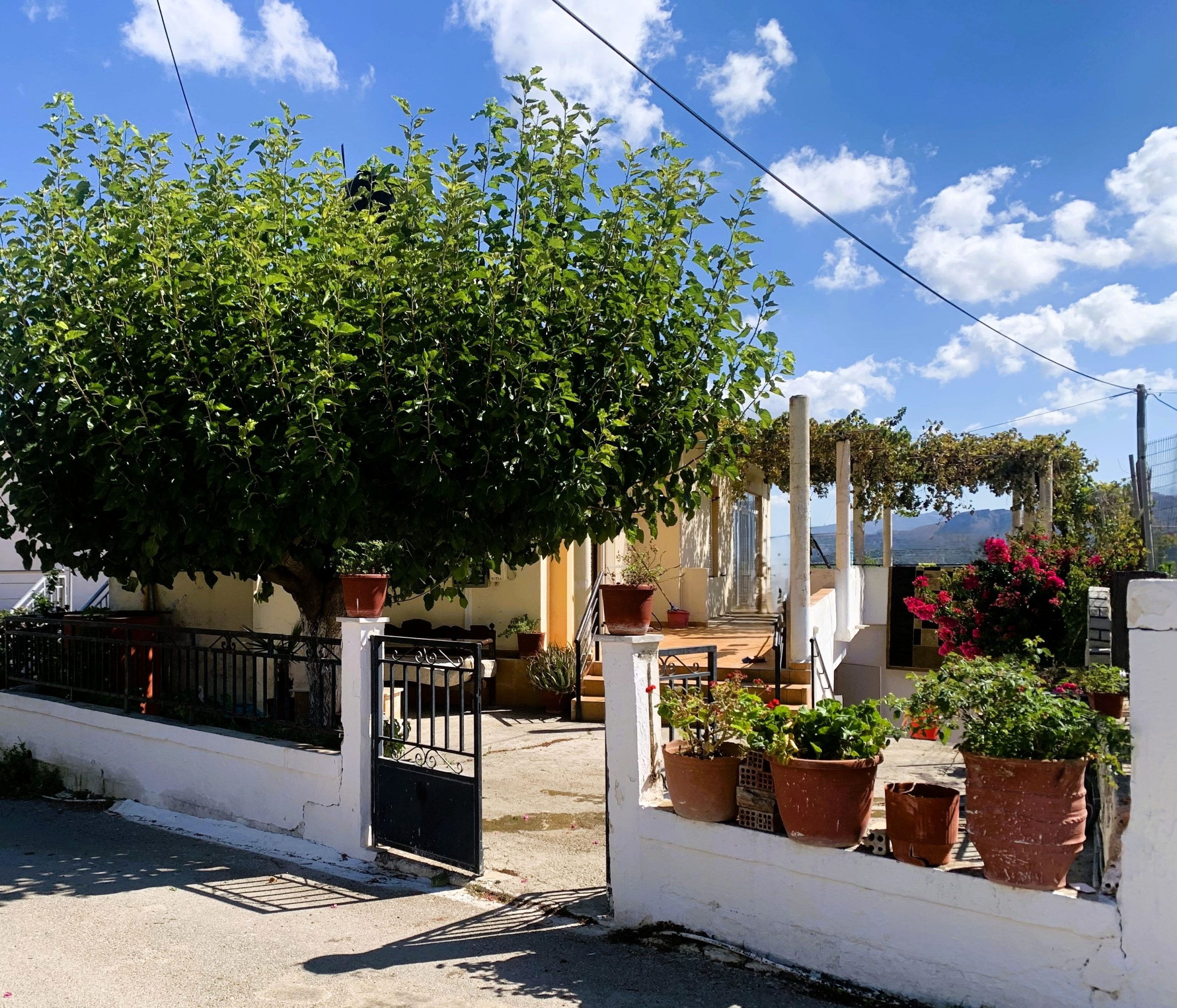 Bagordakis and Partners