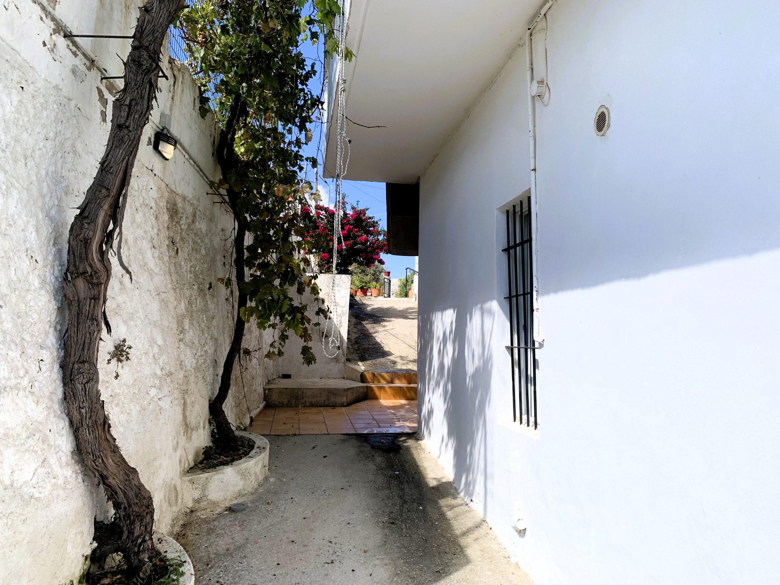 Bagordakis and Partners