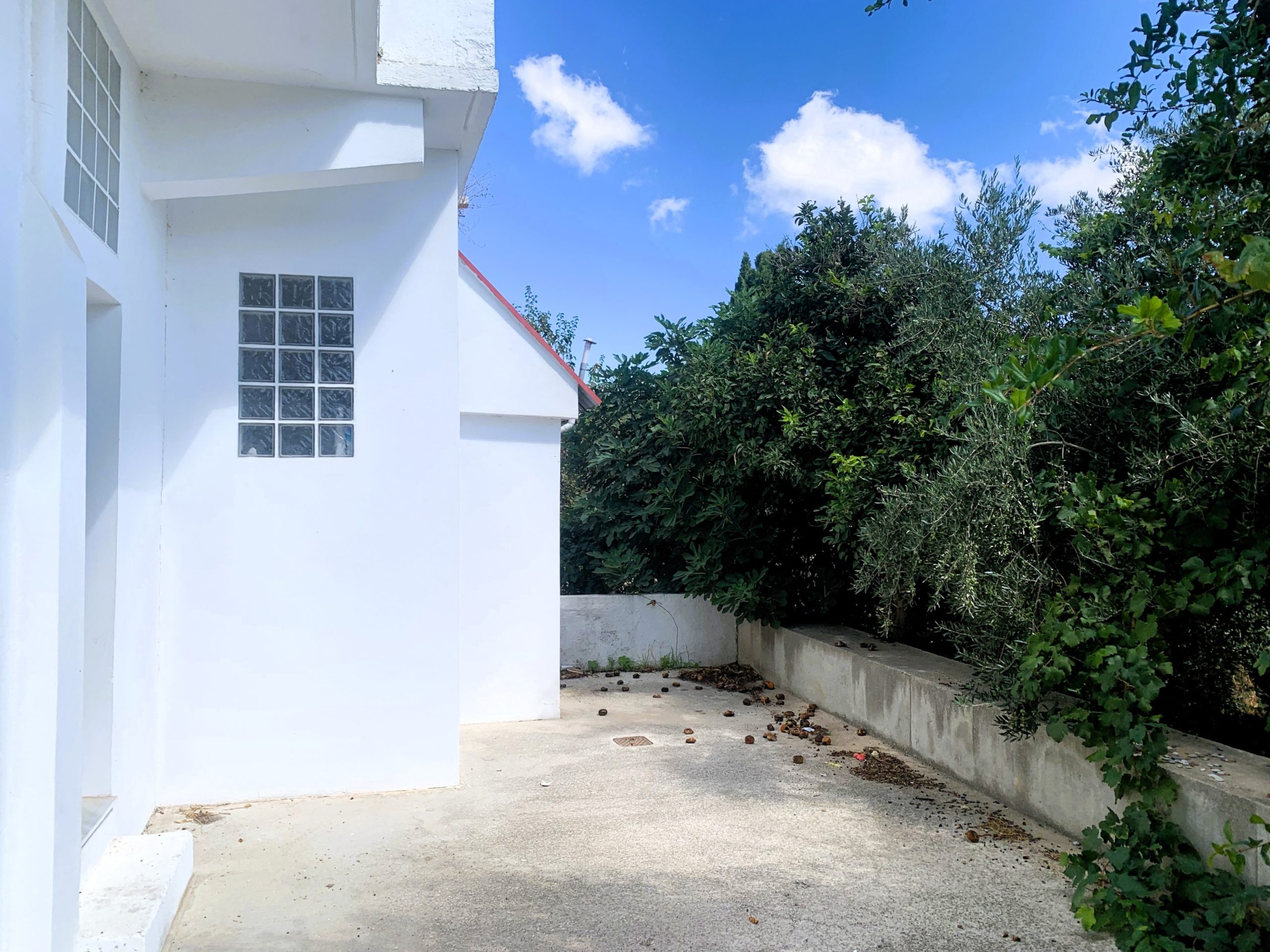 Bagordakis and Partners