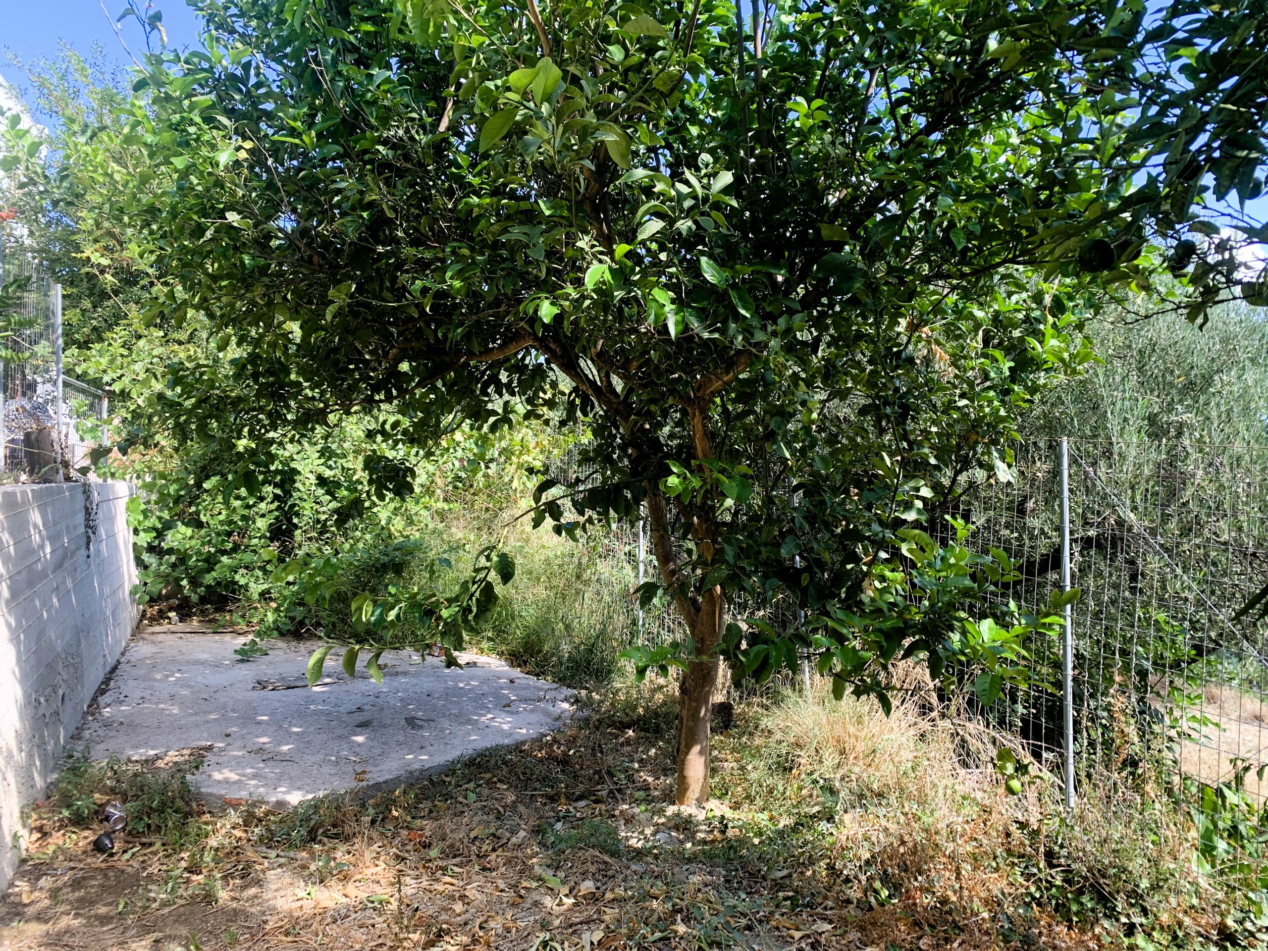 Bagordakis and Partners