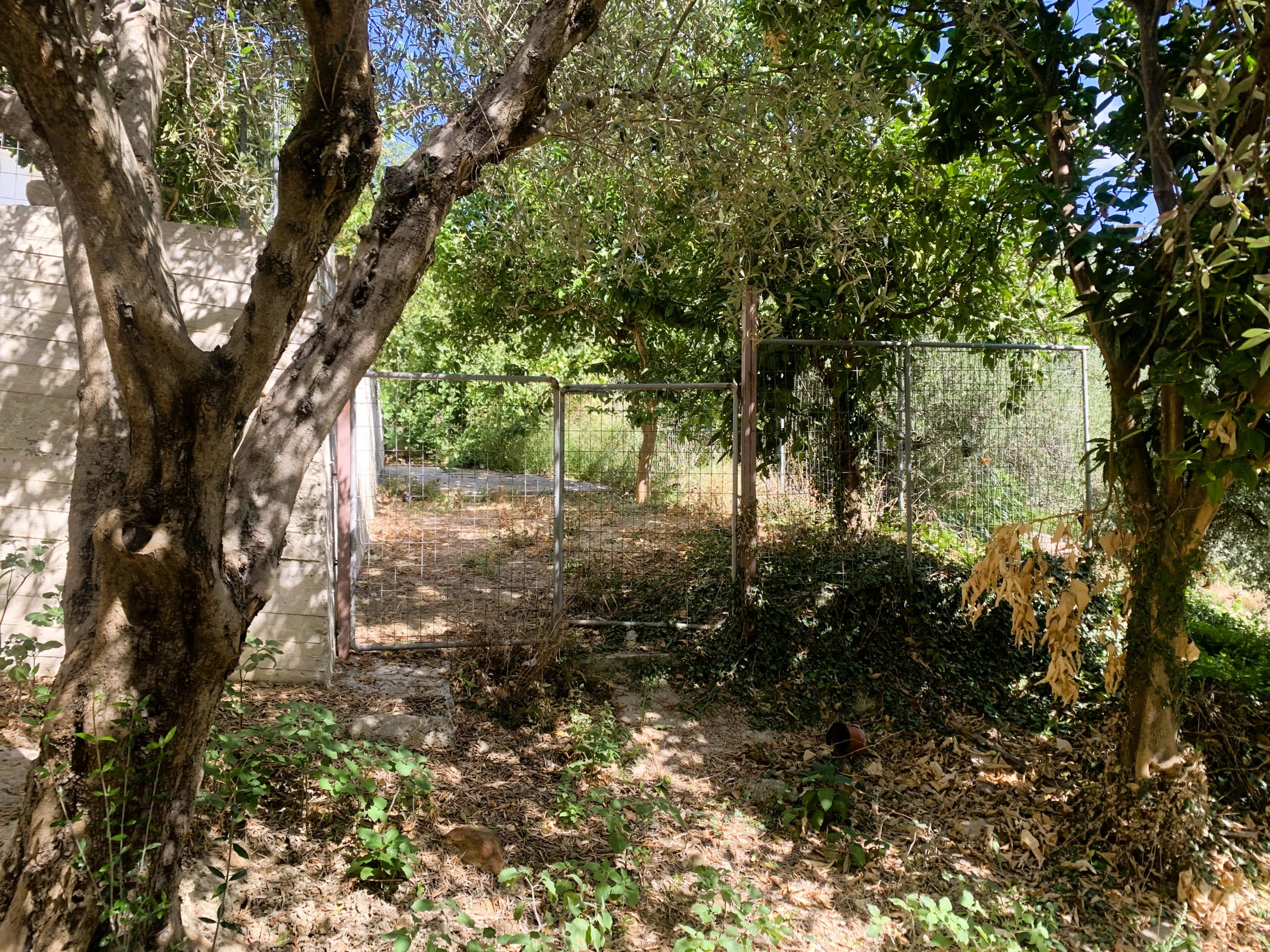 Bagordakis and Partners