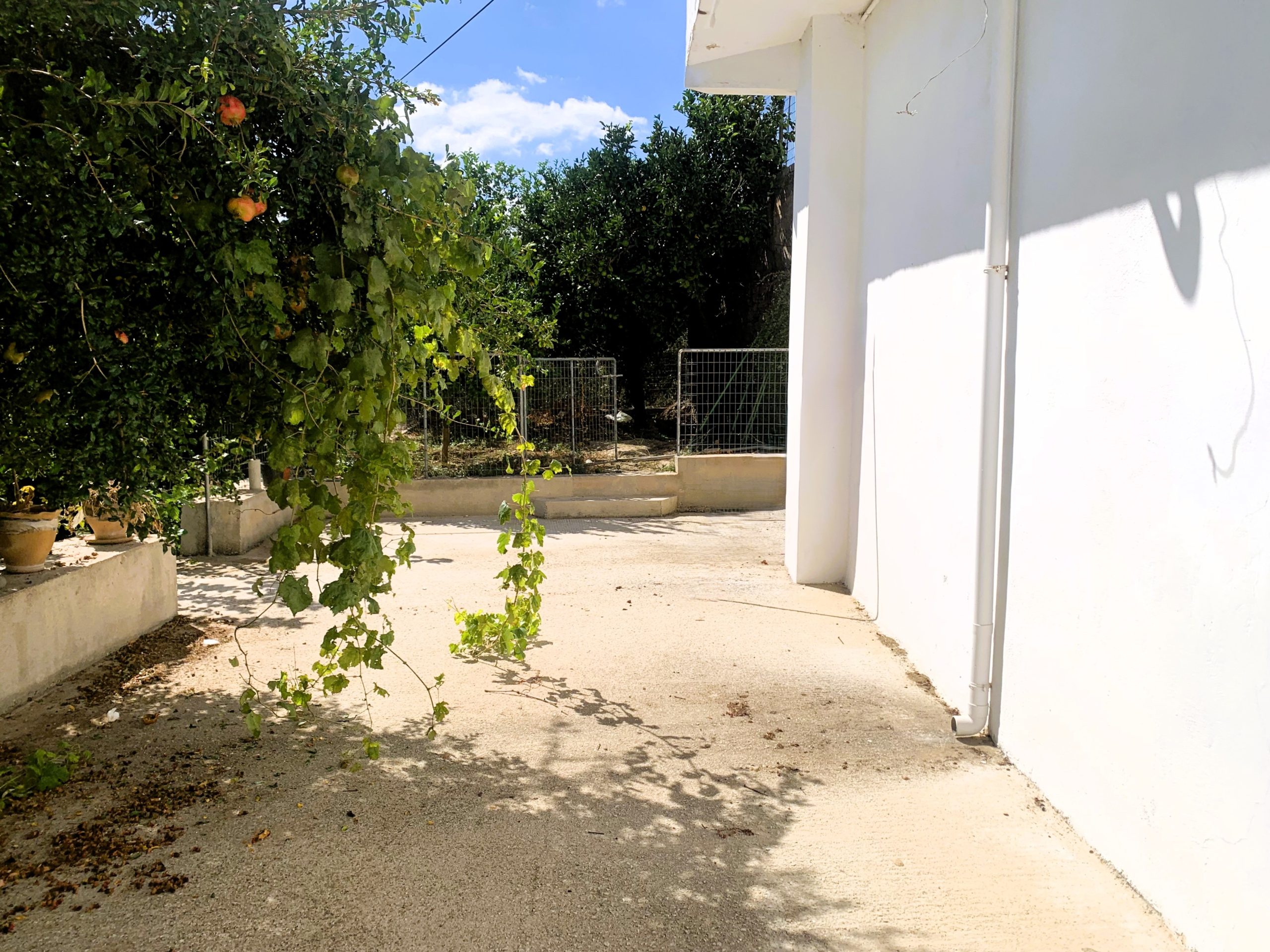 Bagordakis and Partners