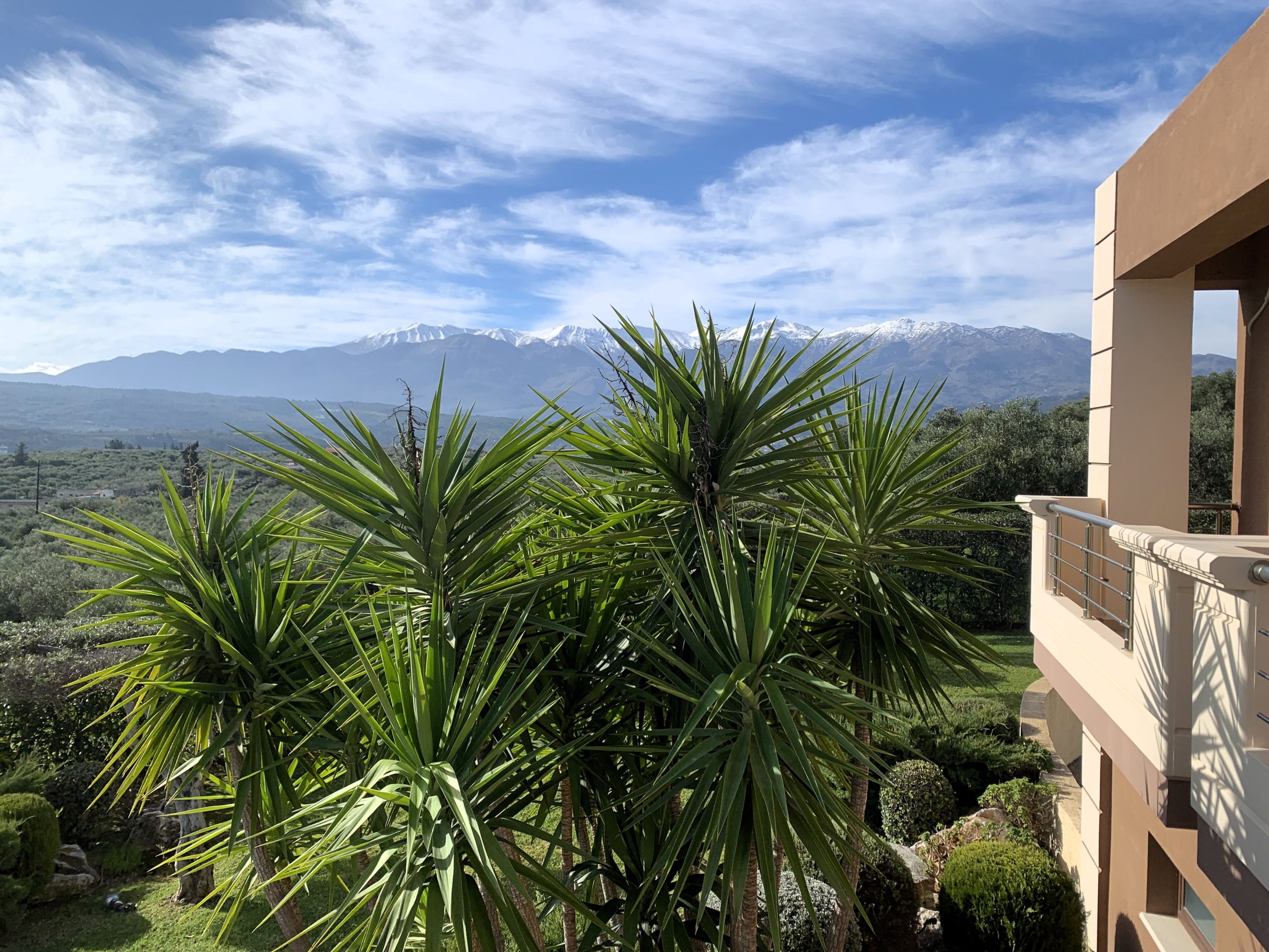 Bagordakis and Partners