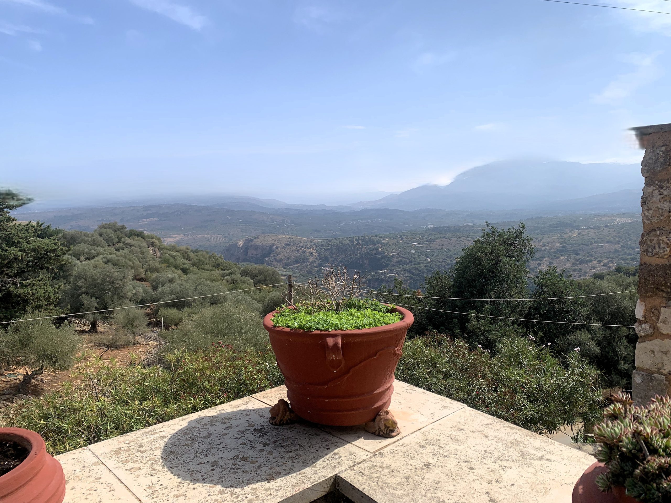 Bagordakis and Partners