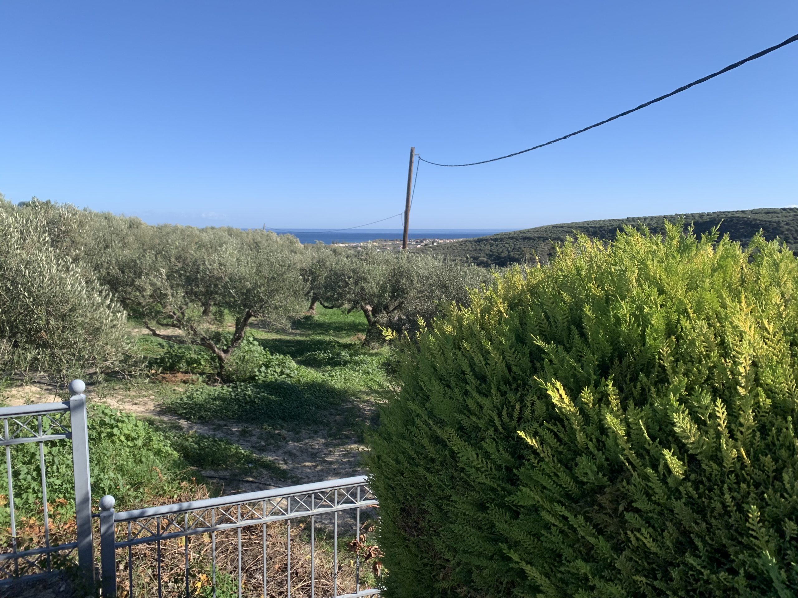 Bagordakis and Partners