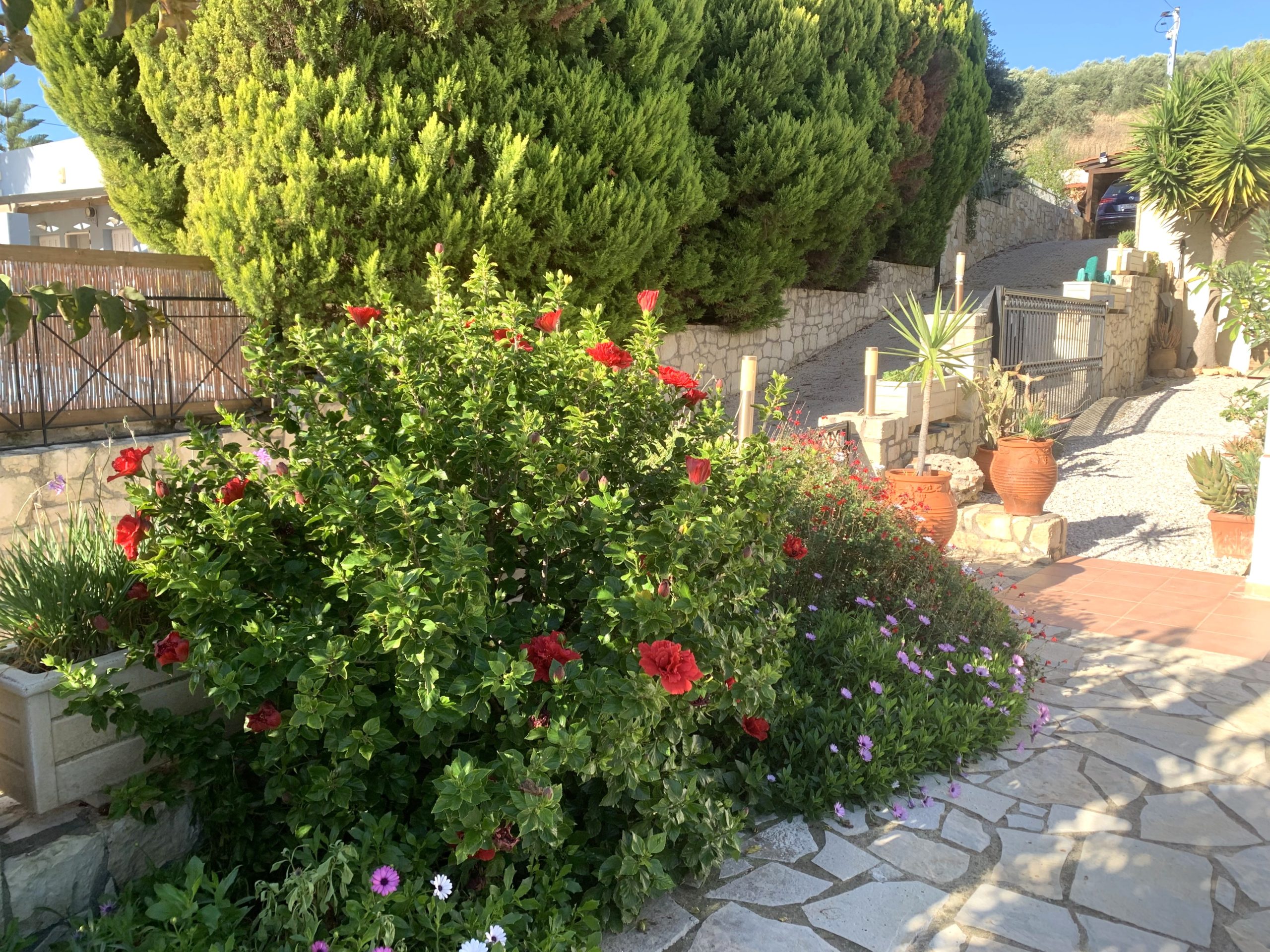 Bagordakis and Partners