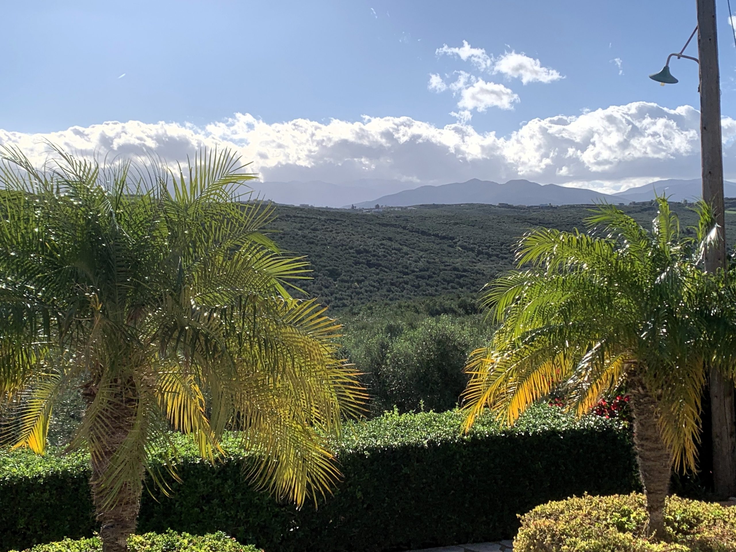 Bagordakis and Partners