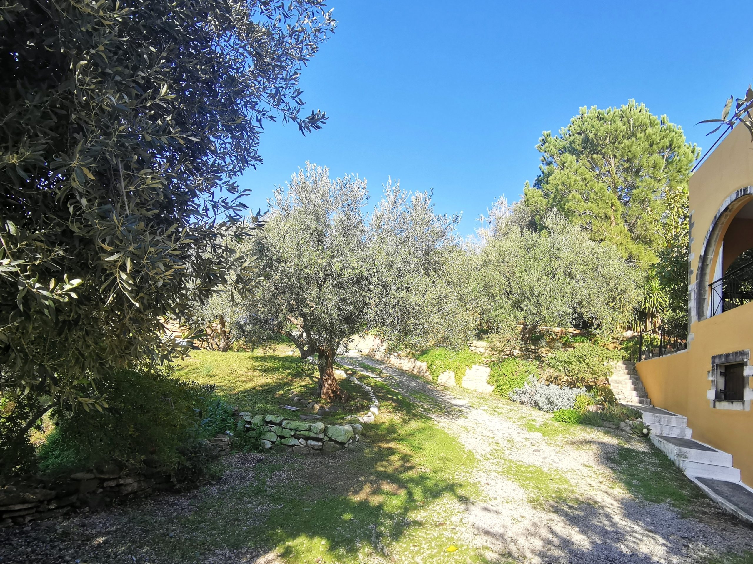 Bagordakis and Partners