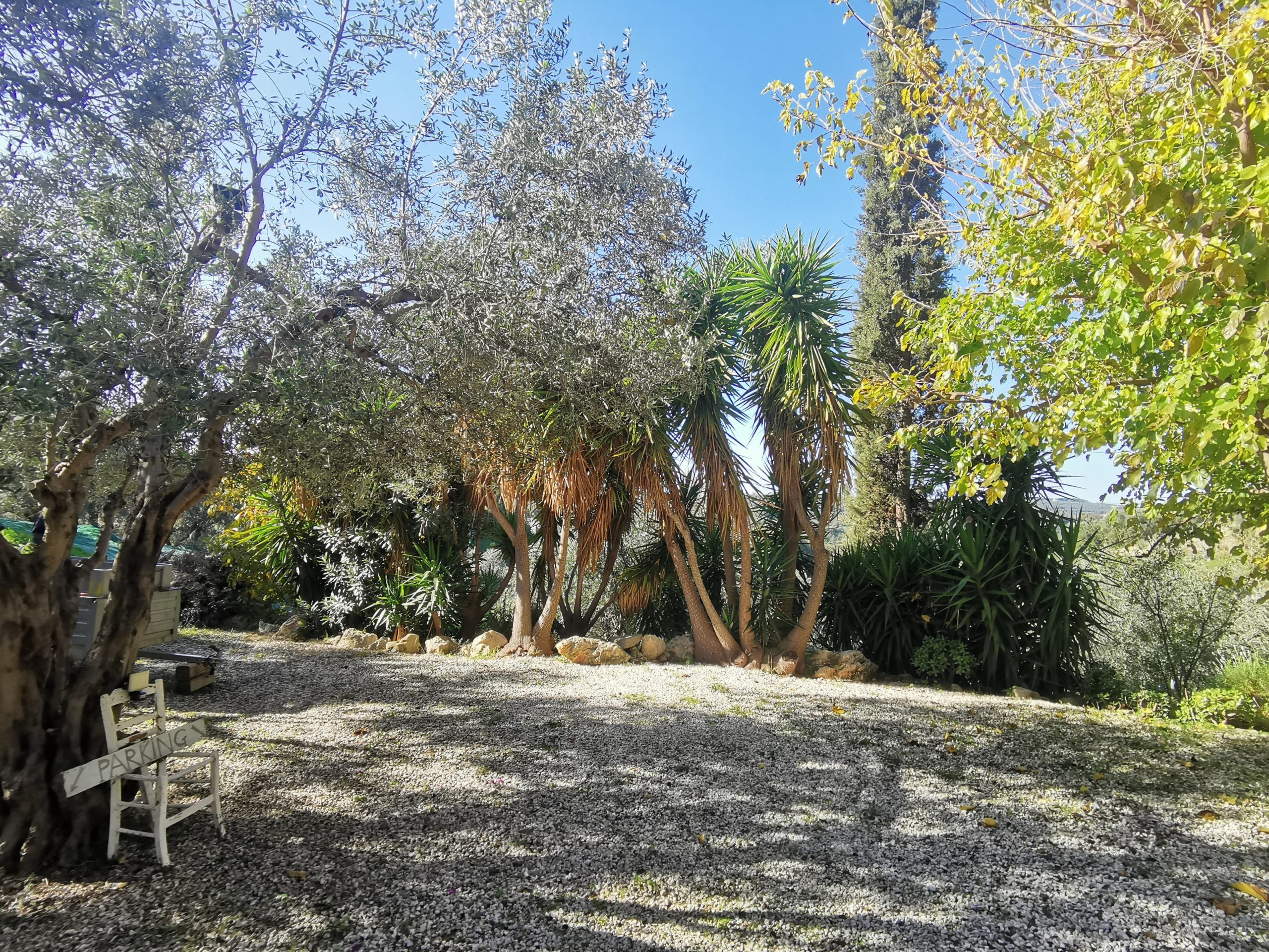 Bagordakis and Partners