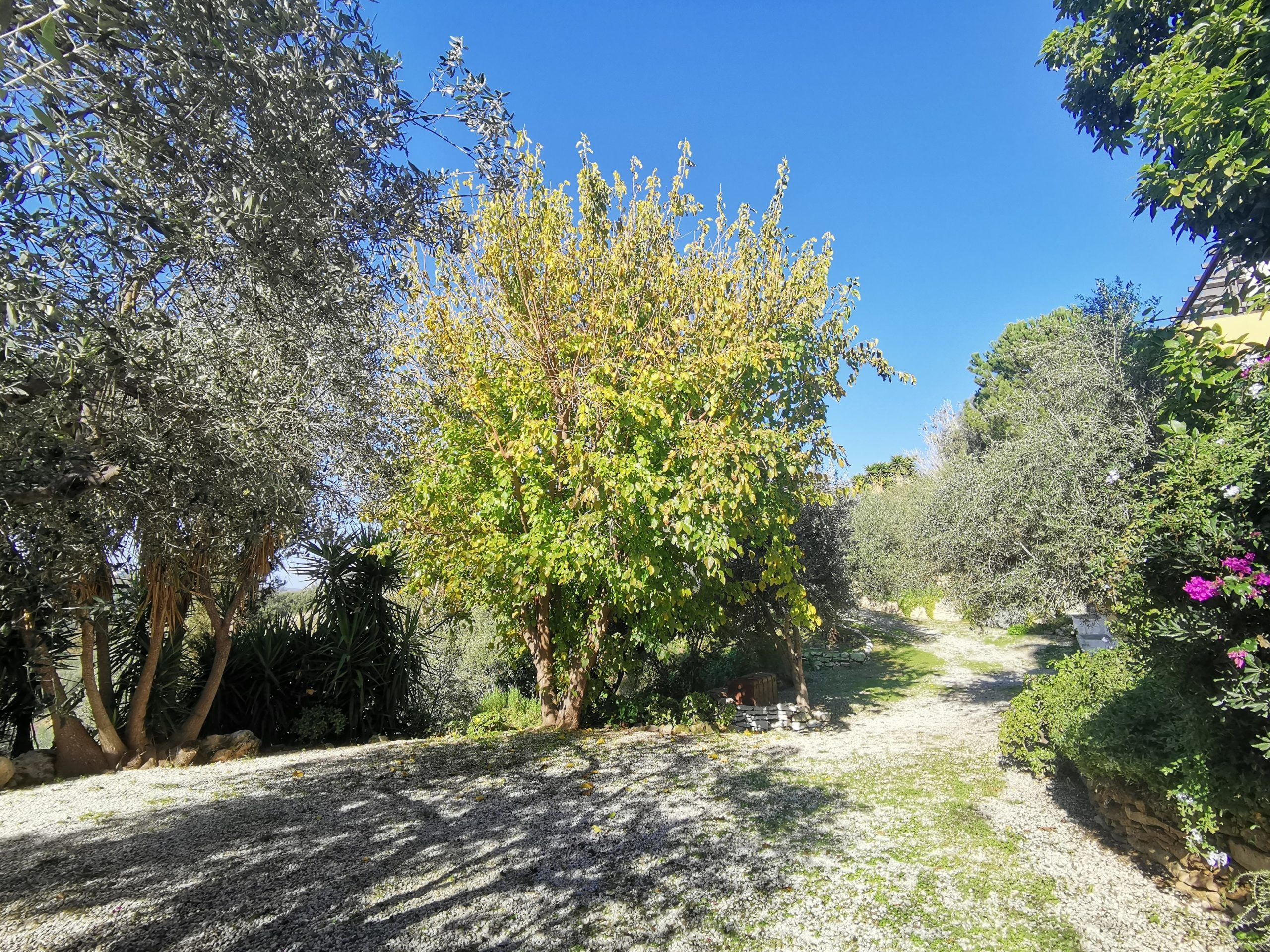 Bagordakis and Partners