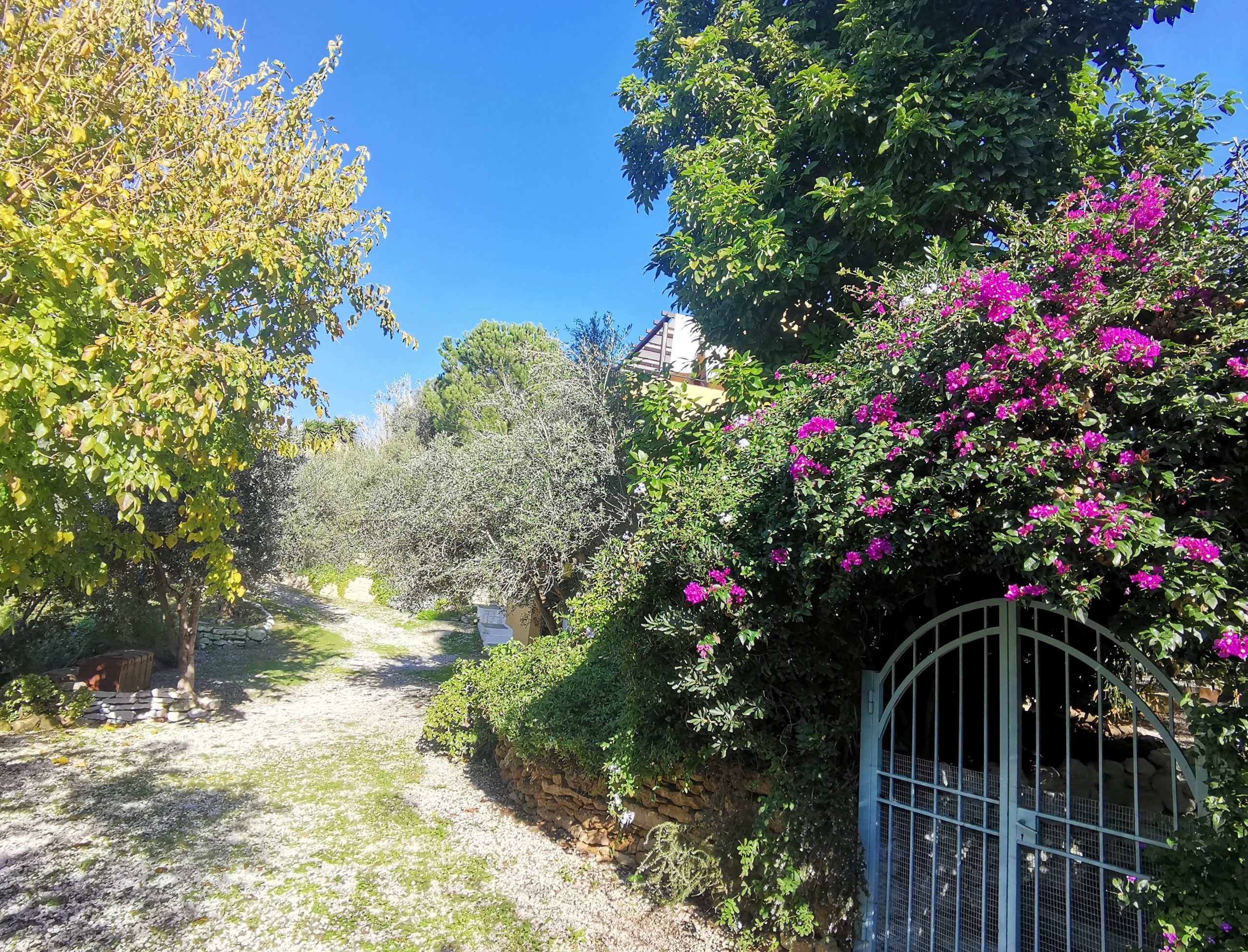 Bagordakis and Partners