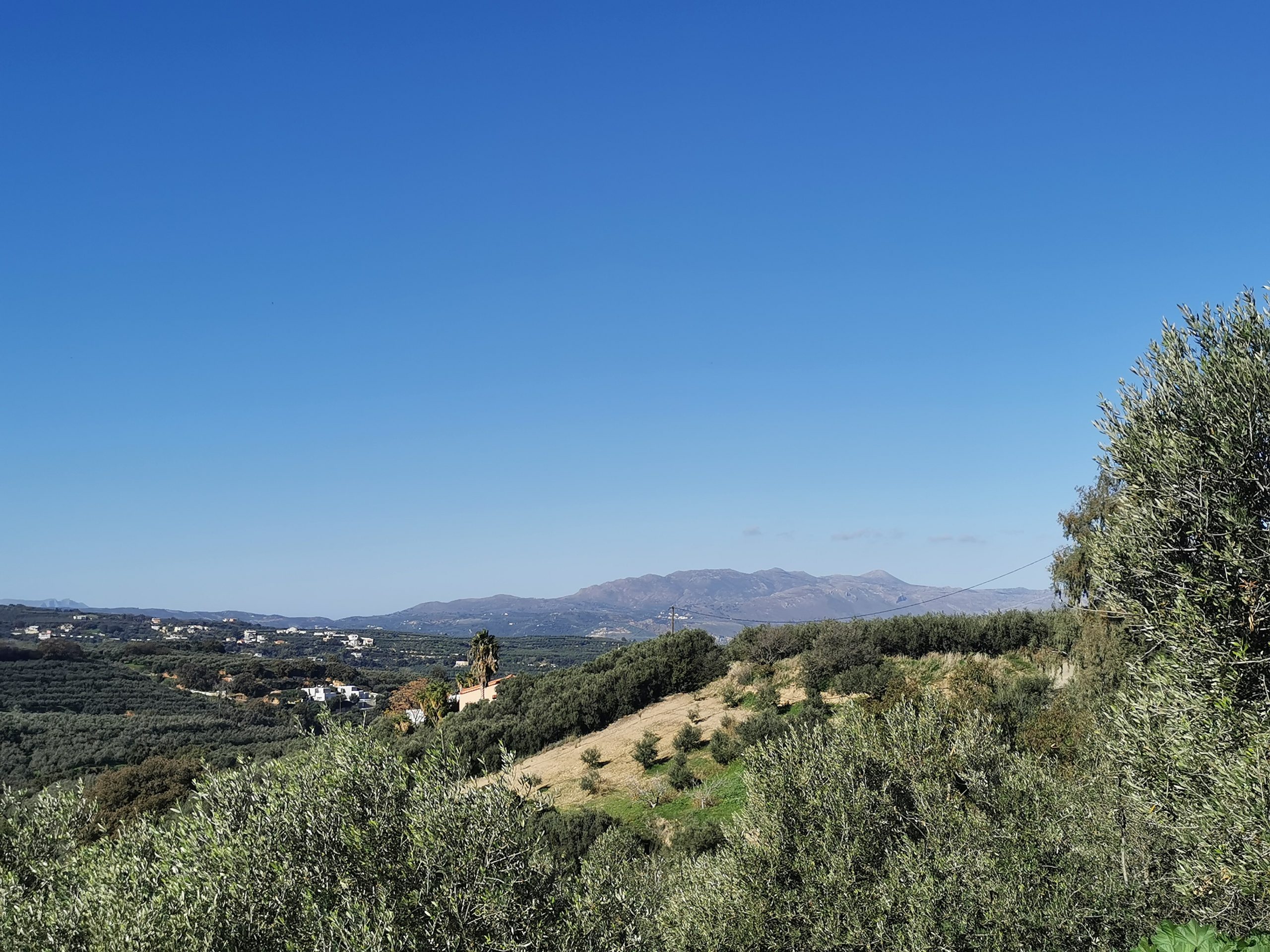 Bagordakis and Partners