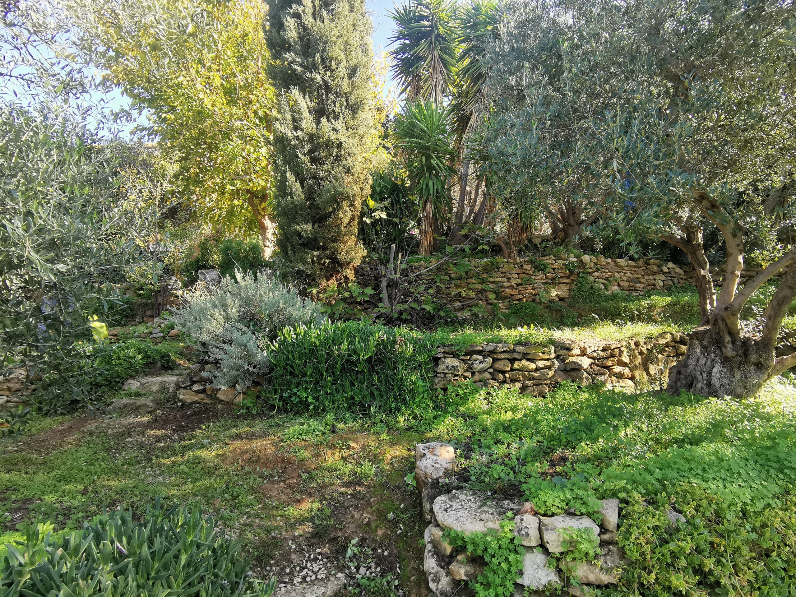 Bagordakis and Partners