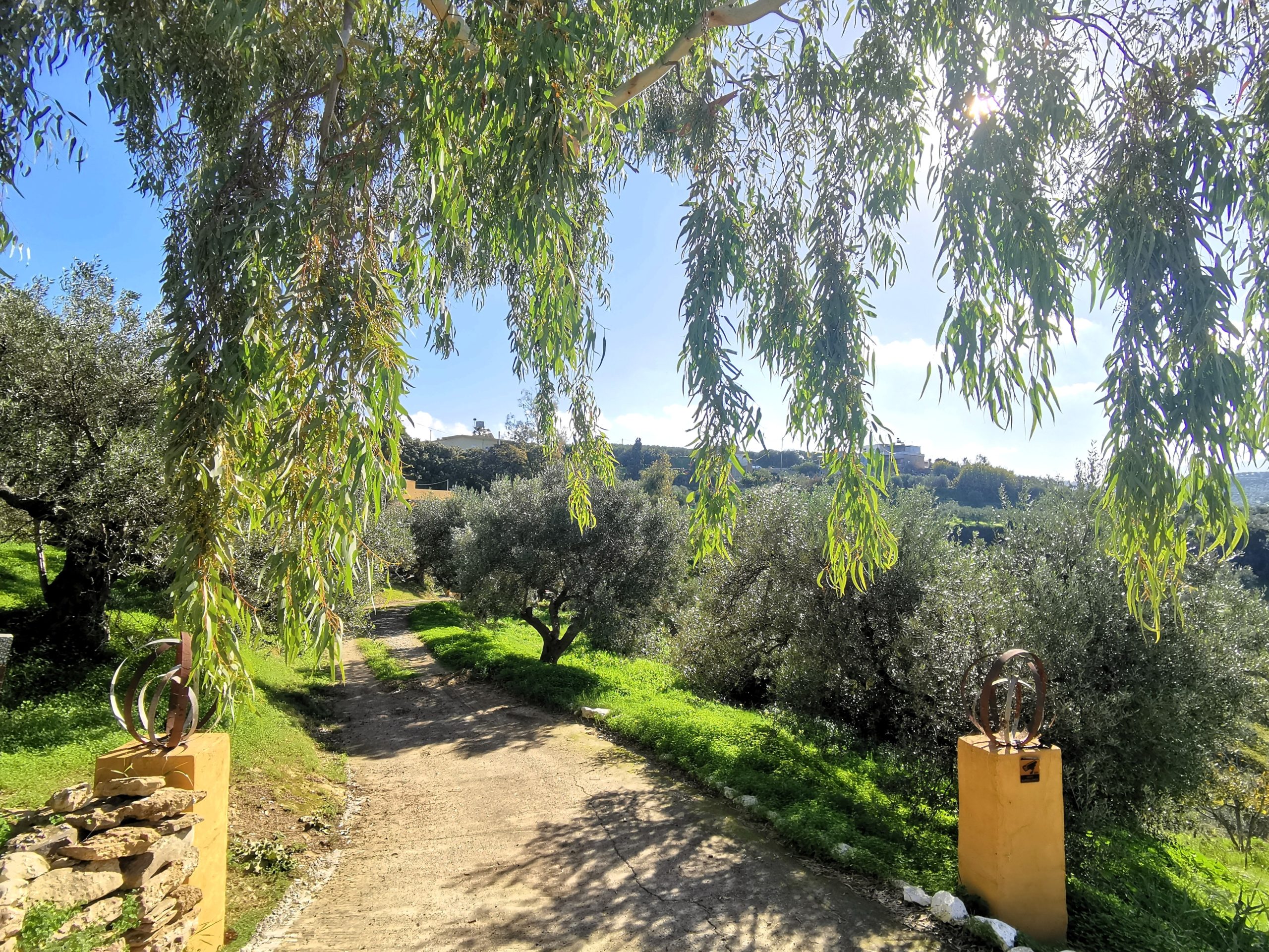 Bagordakis and Partners