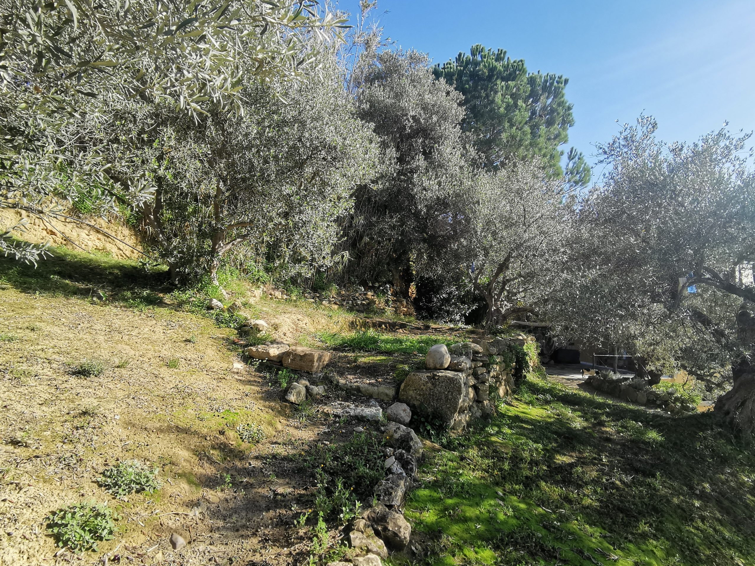 Bagordakis and Partners