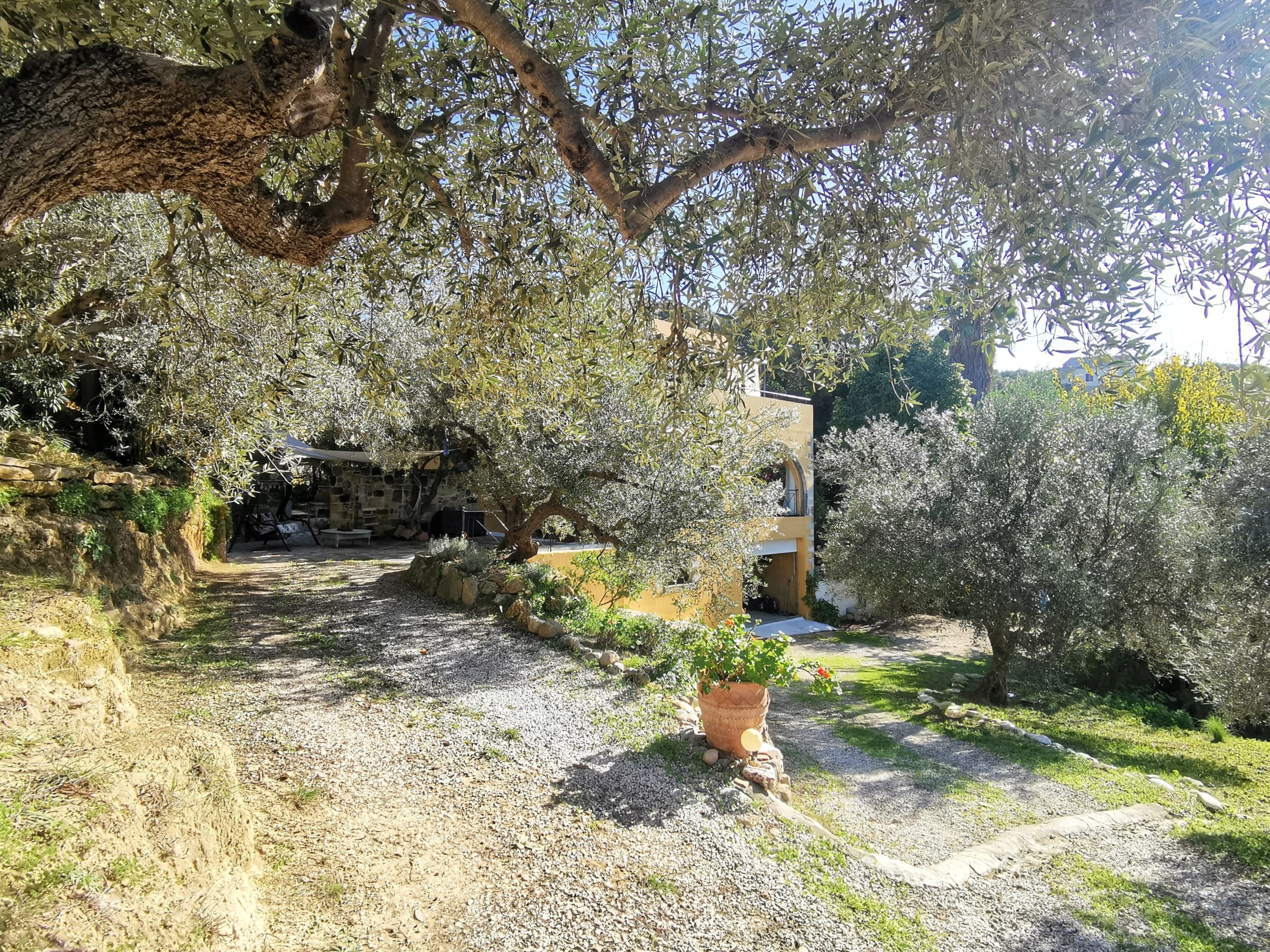 Bagordakis and Partners