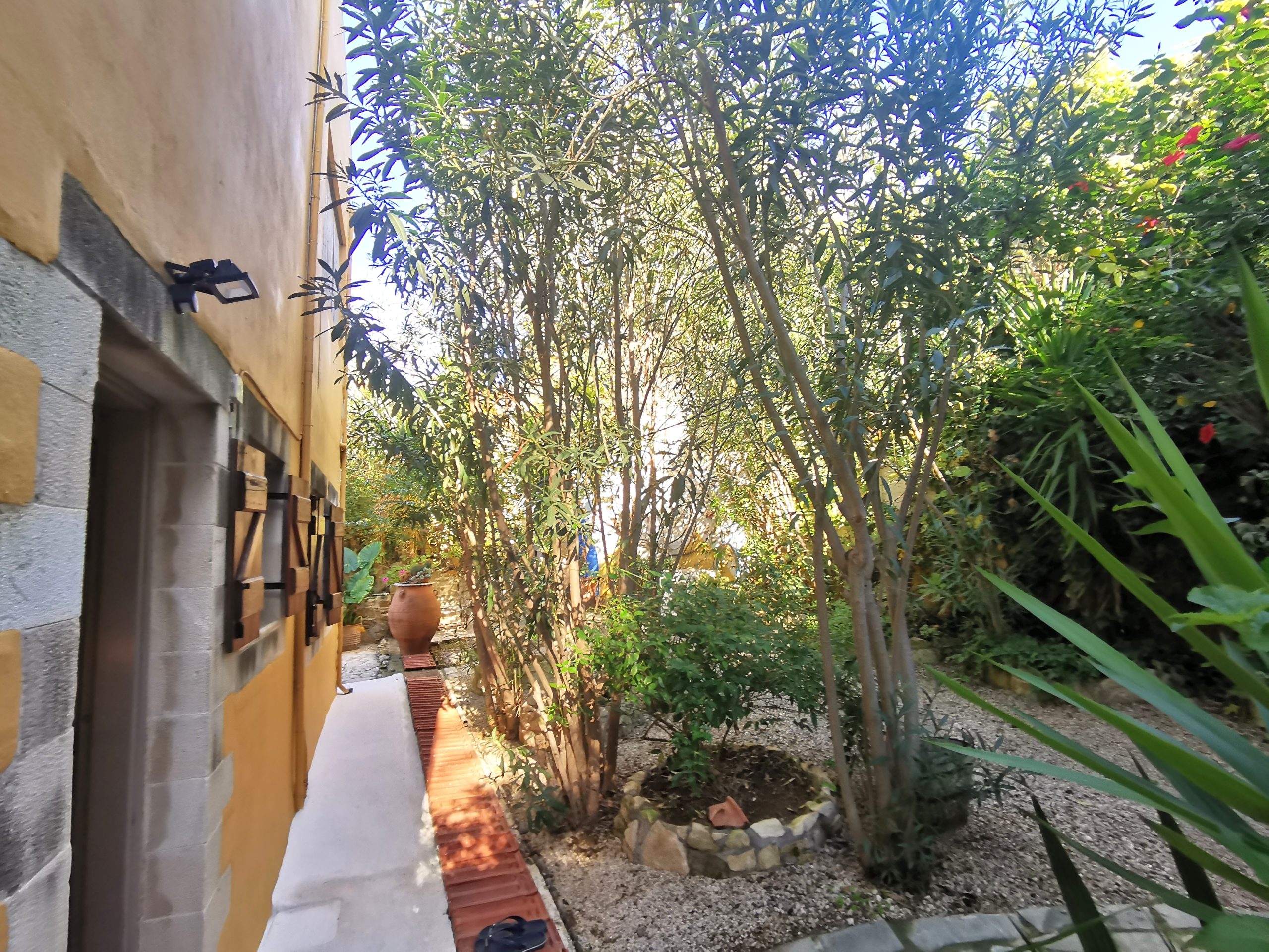 Bagordakis and Partners