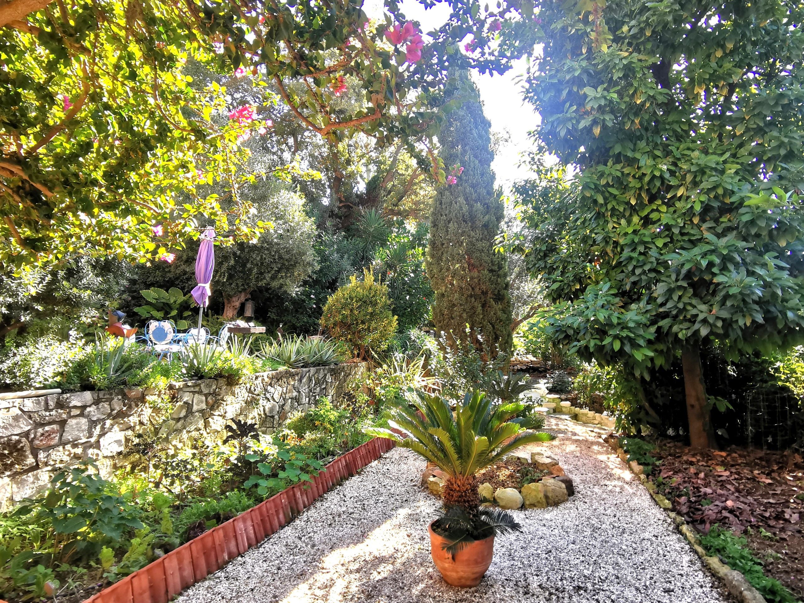 Bagordakis and Partners