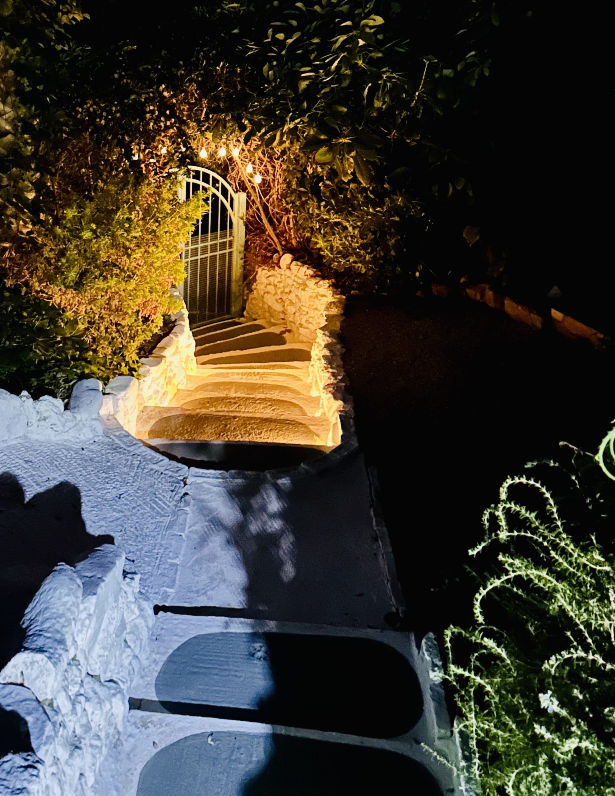 Bagordakis and Partners