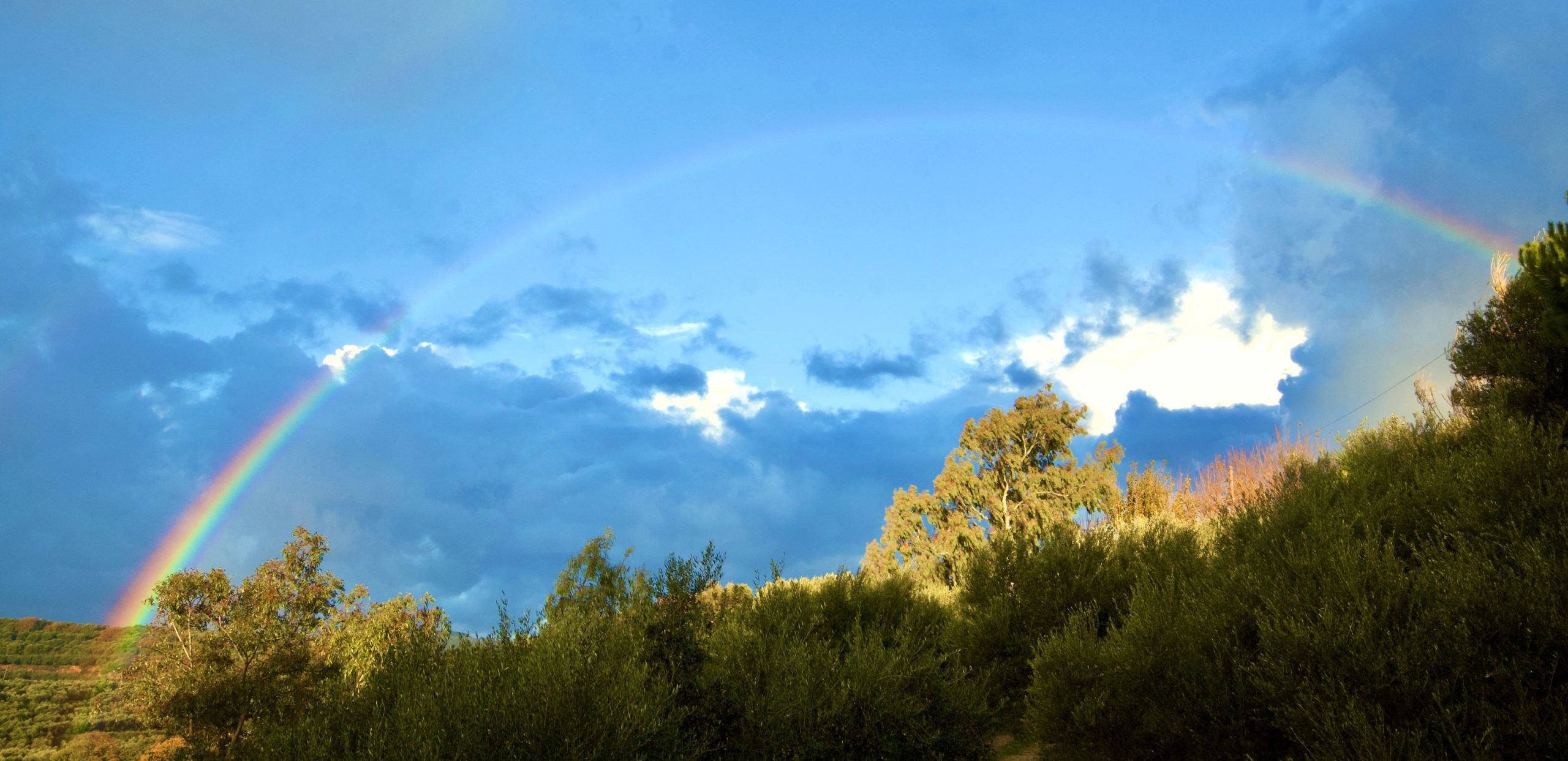 Bagordakis and Partners