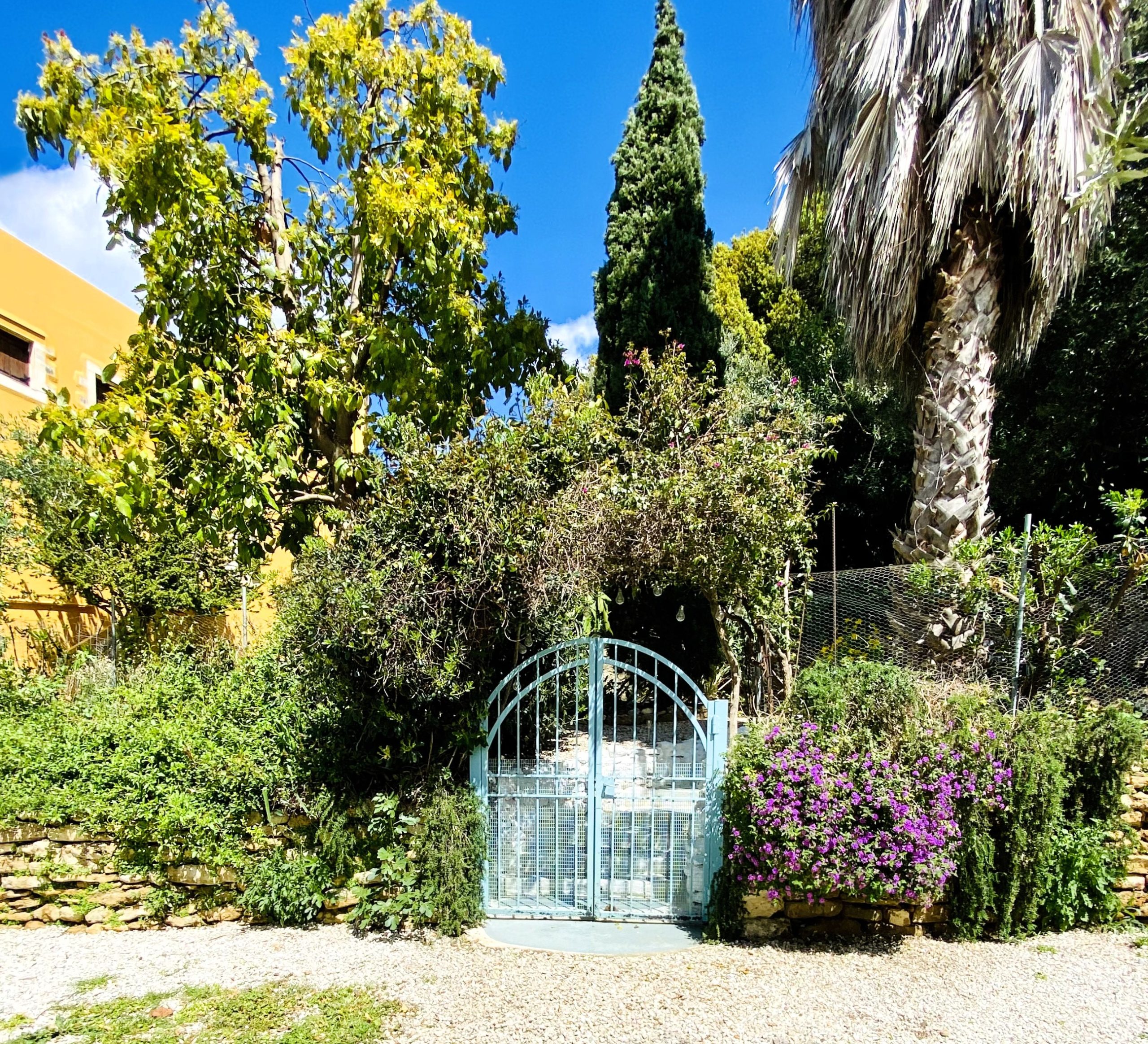 Bagordakis and Partners